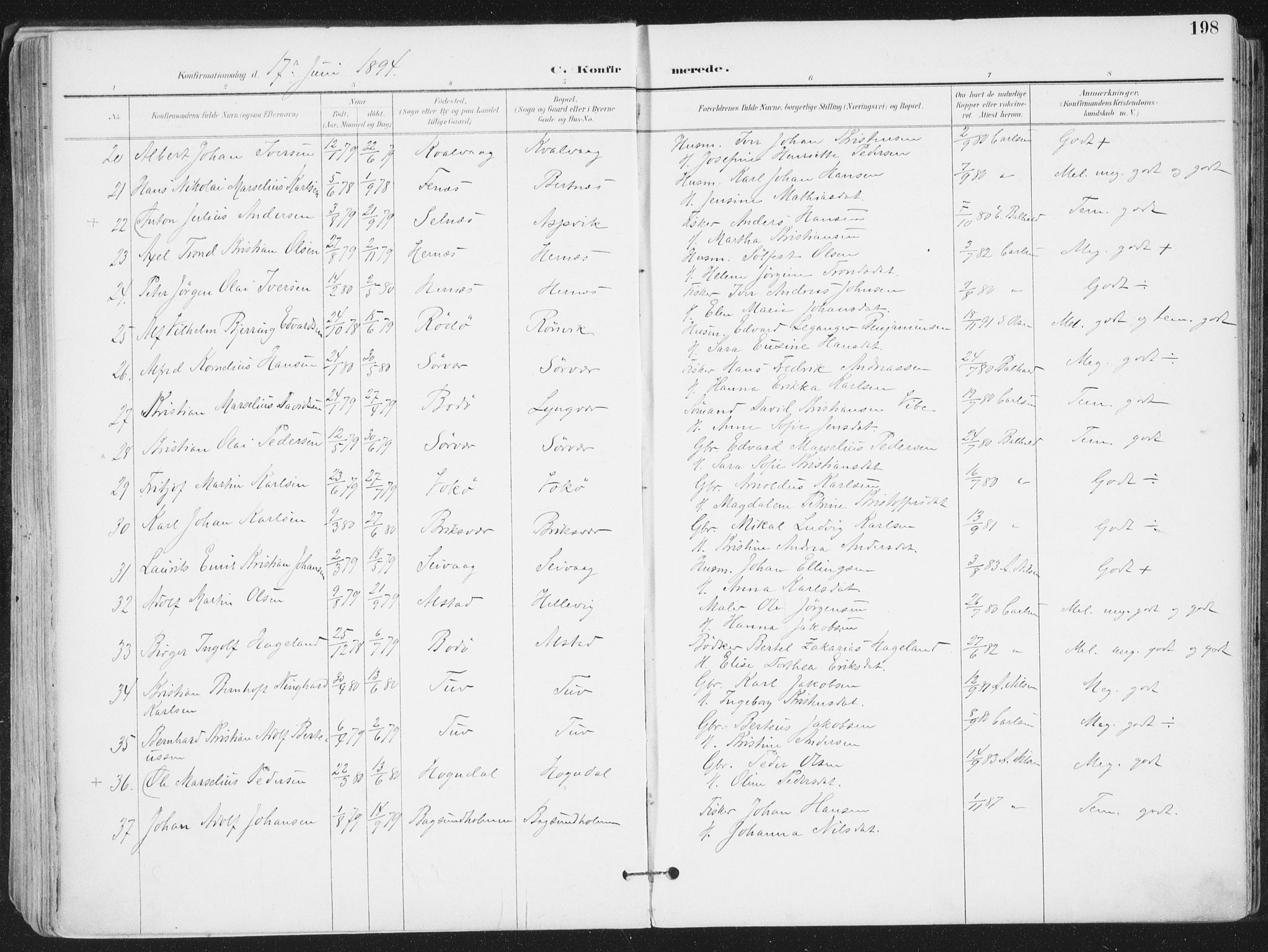 Ministerialprotokoller, klokkerbøker og fødselsregistre - Nordland, SAT/A-1459/802/L0055: Parish register (official) no. 802A02, 1894-1915, p. 198