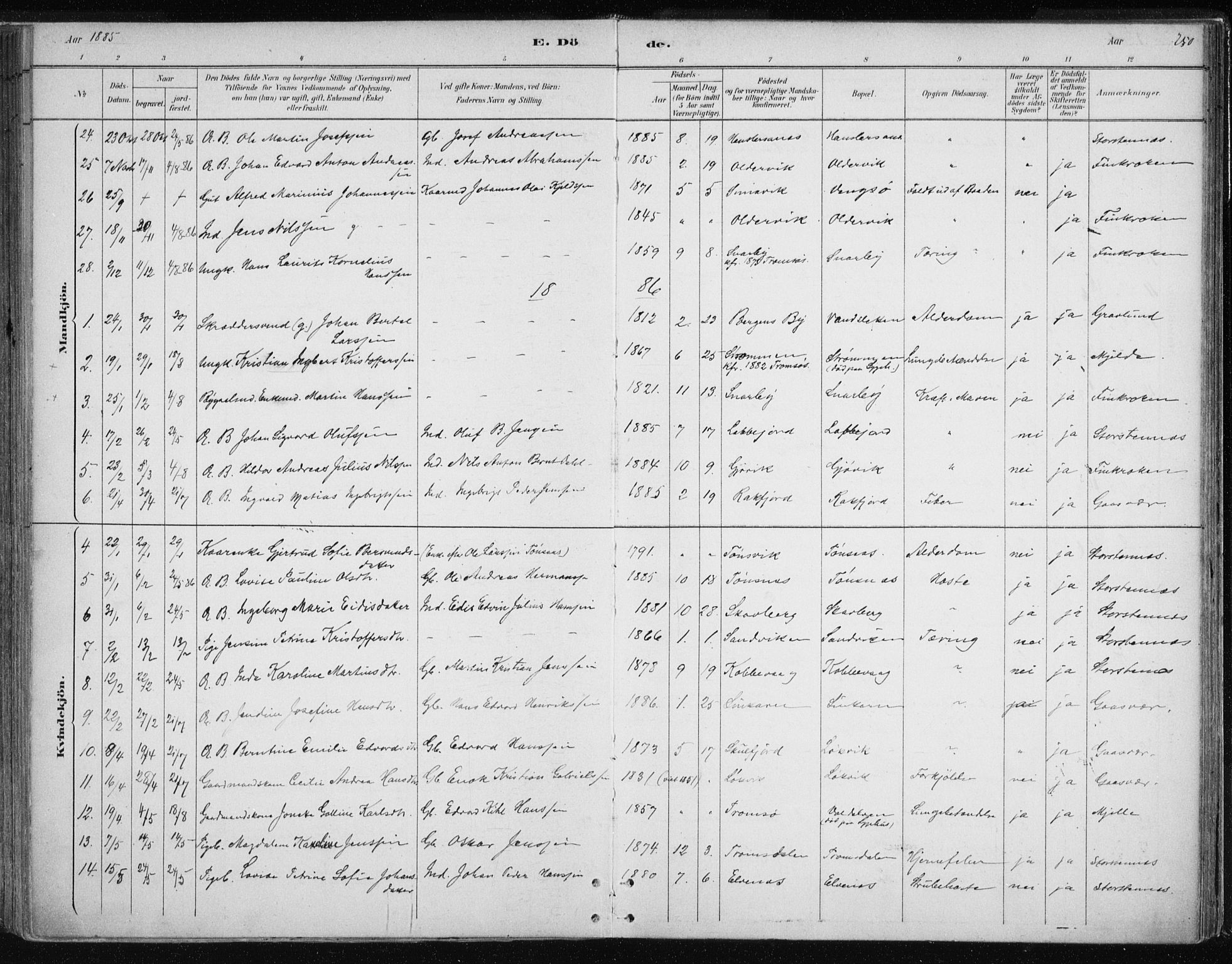 Tromsøysund sokneprestkontor, AV/SATØ-S-1304/G/Ga/L0004kirke: Parish register (official) no. 4, 1880-1888, p. 250