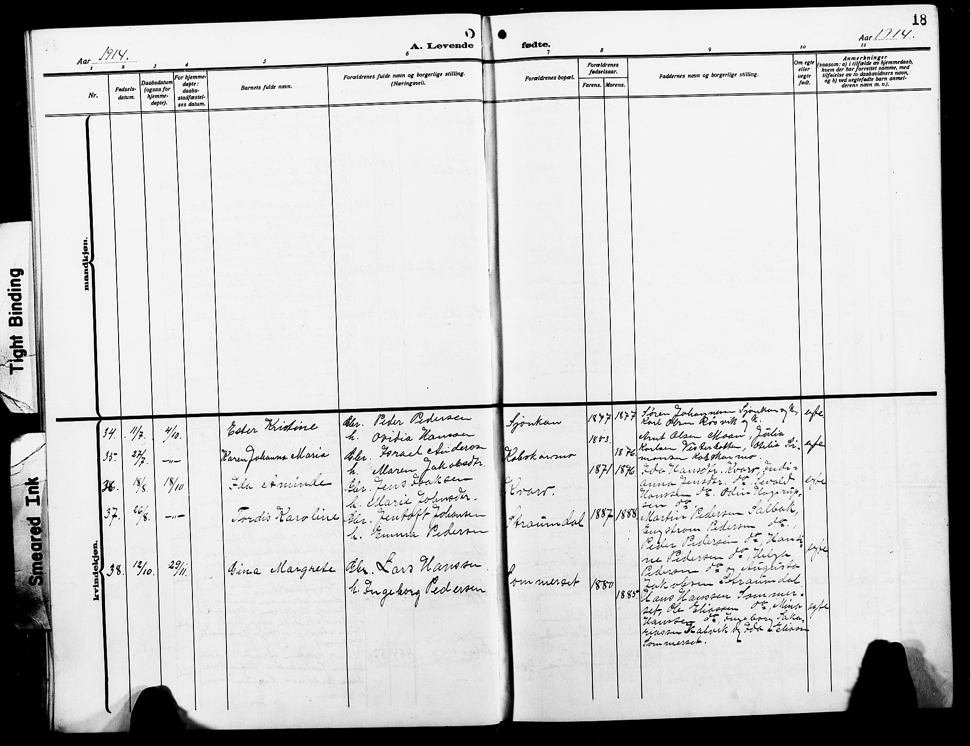 Ministerialprotokoller, klokkerbøker og fødselsregistre - Nordland, AV/SAT-A-1459/854/L0787: Parish register (copy) no. 854C03, 1913-1926, p. 18