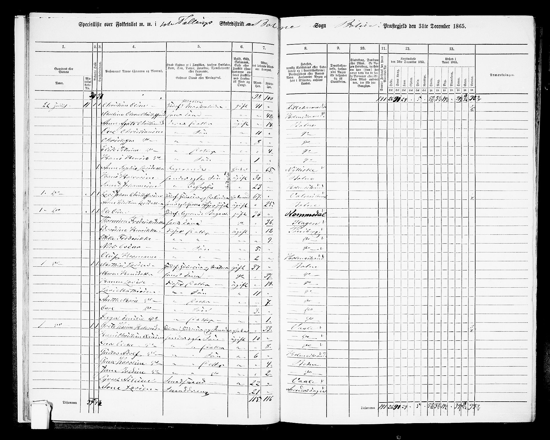 RA, 1865 census for Botne/Botne og Hillestad, 1865, p. 18