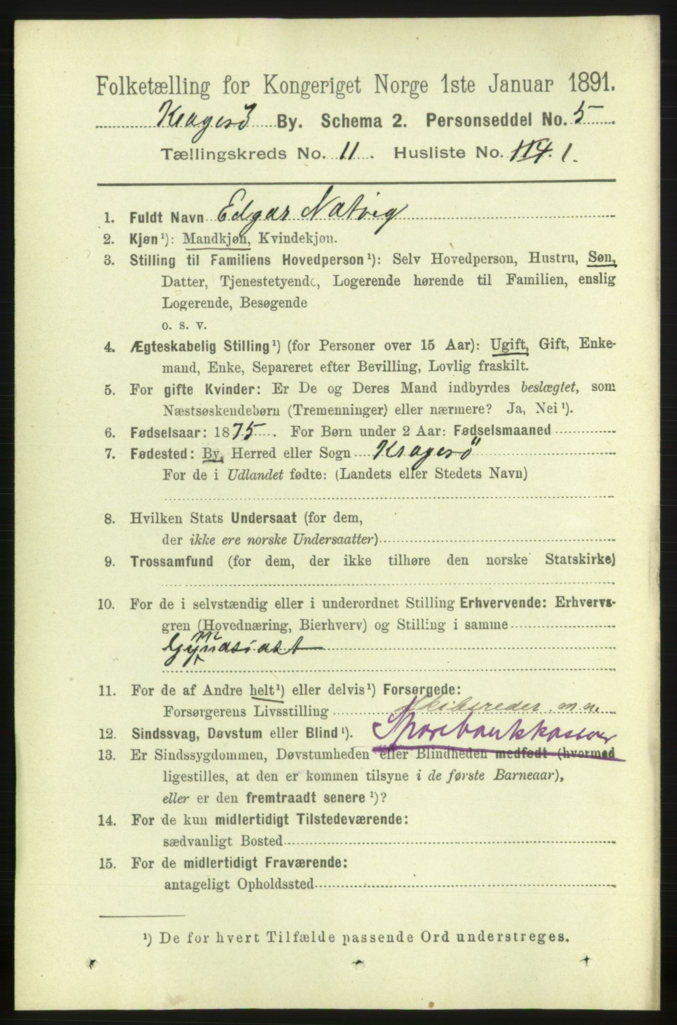 RA, 1891 census for 0801 Kragerø, 1891, p. 3855