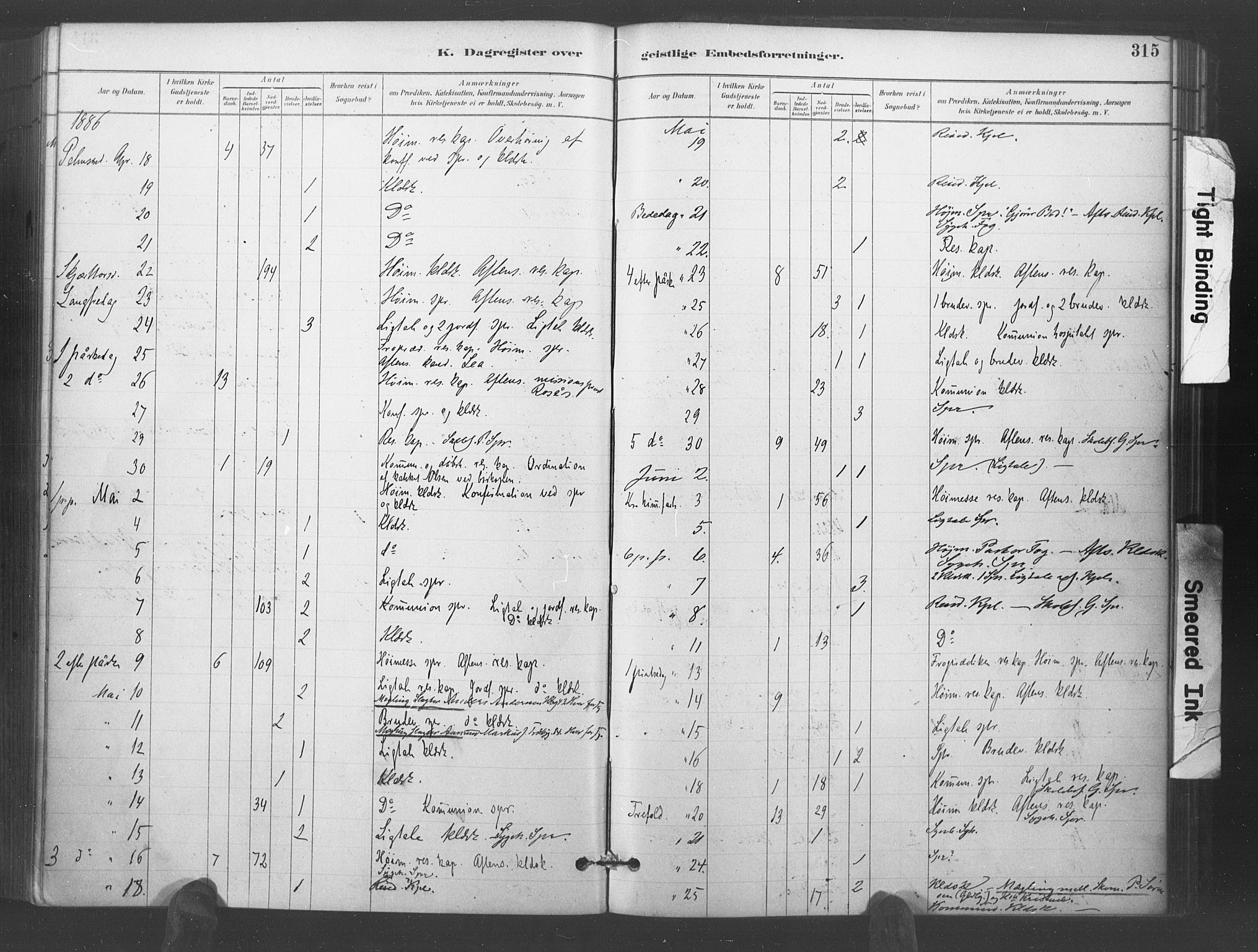 Kristiansand domprosti, AV/SAK-1112-0006/F/Fa/L0018: Parish register (official) no. A 17, 1880-1892, p. 315