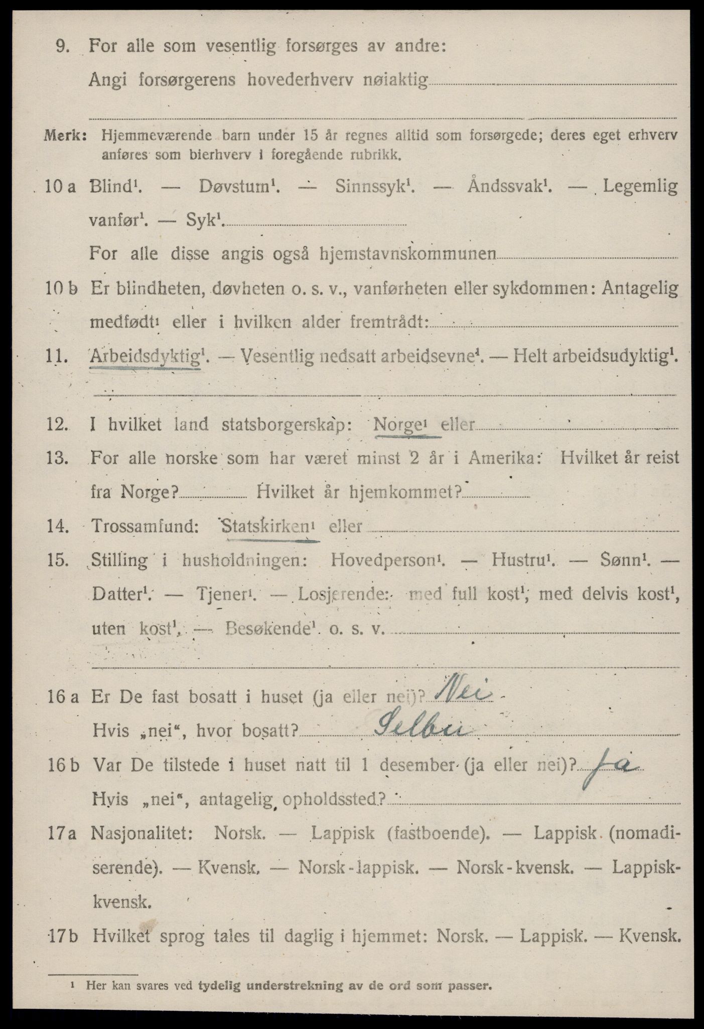 SAT, 1920 census for Horg, 1920, p. 2313