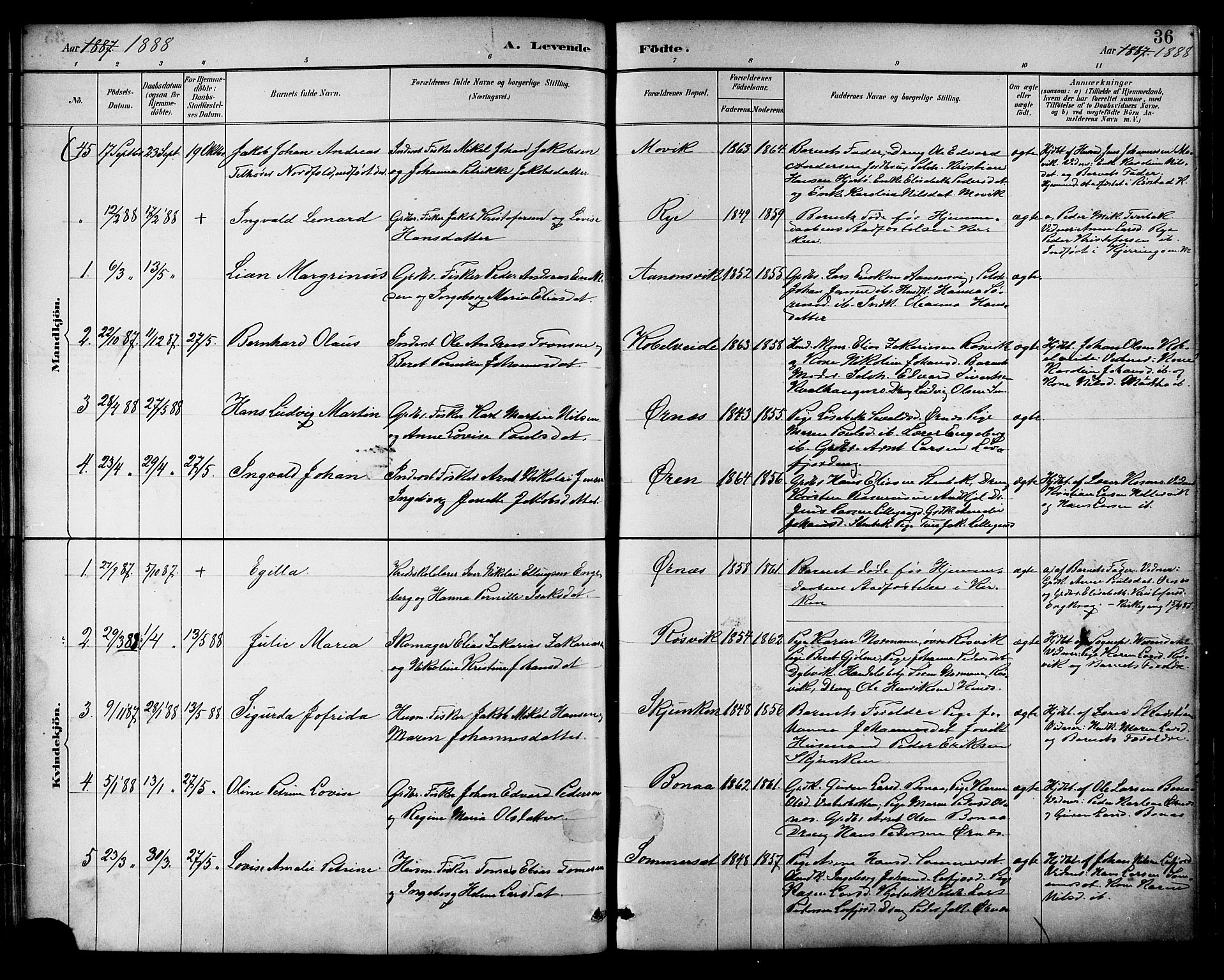 Ministerialprotokoller, klokkerbøker og fødselsregistre - Nordland, SAT/A-1459/854/L0777: Parish register (official) no. 854A01 /1, 1883-1891, p. 36
