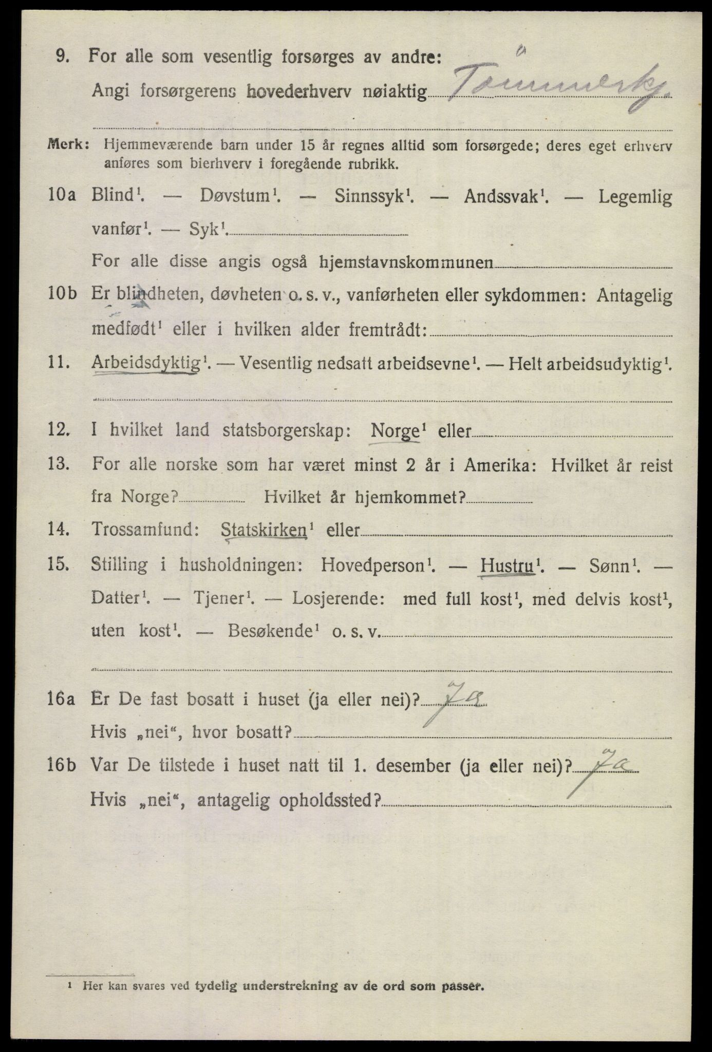 SAKO, 1920 census for Nes (Buskerud), 1920, p. 1927