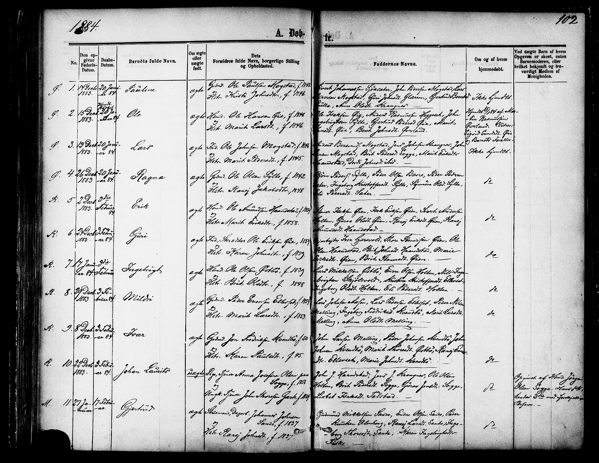 Ministerialprotokoller, klokkerbøker og fødselsregistre - Møre og Romsdal, AV/SAT-A-1454/595/L1046: Parish register (official) no. 595A08, 1874-1884, p. 102