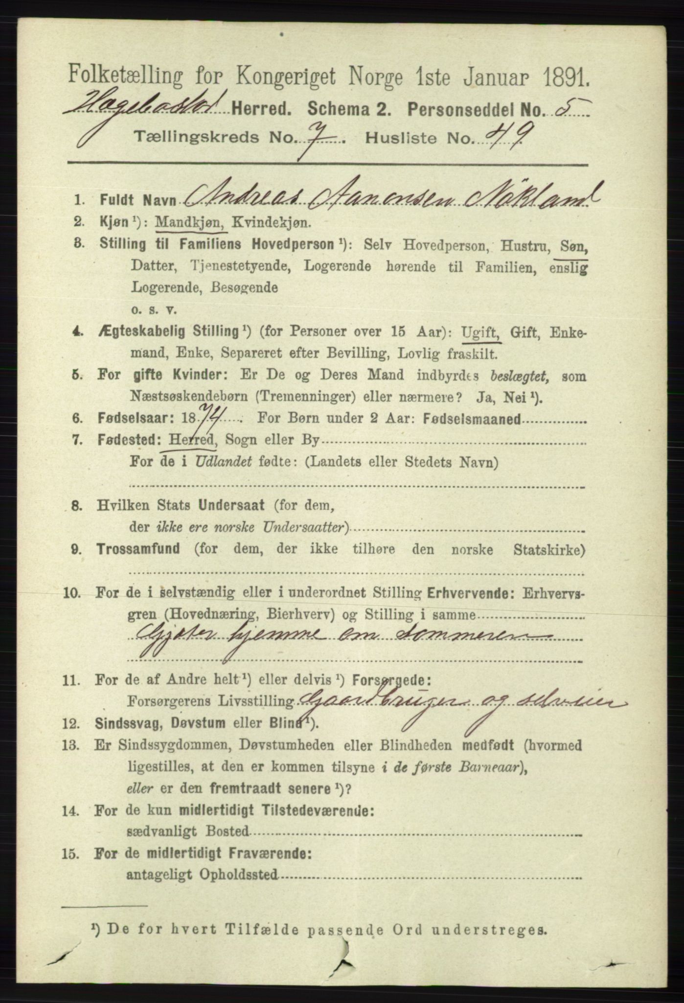 RA, 1891 census for 1034 Hægebostad, 1891, p. 2408