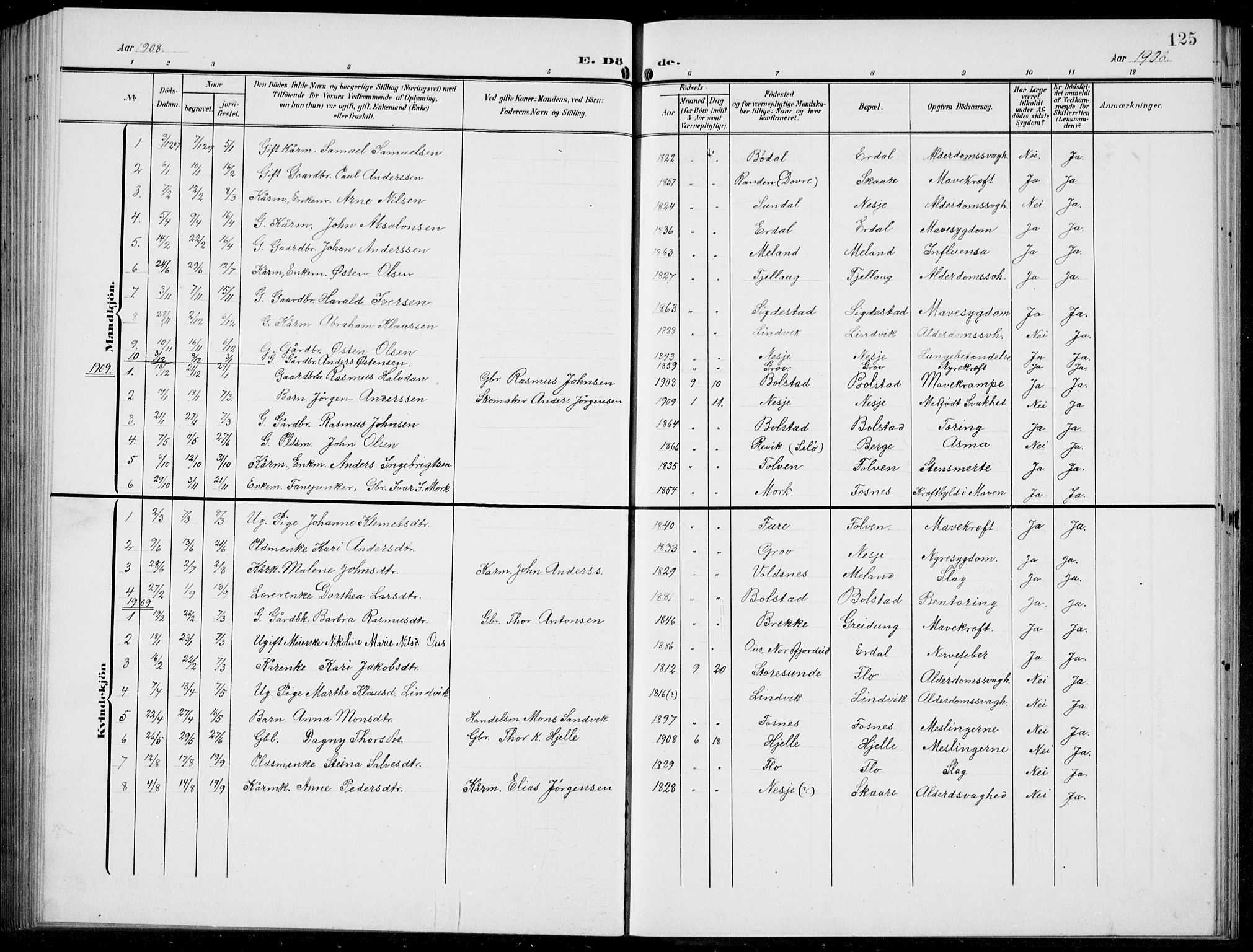 Stryn Sokneprestembete, AV/SAB-A-82501: Parish register (copy) no. C 4, 1905-1936, p. 125