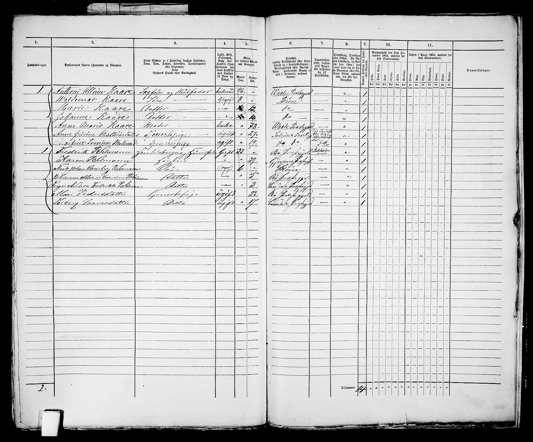 RA, 1865 census for Skien, 1865, p. 1255