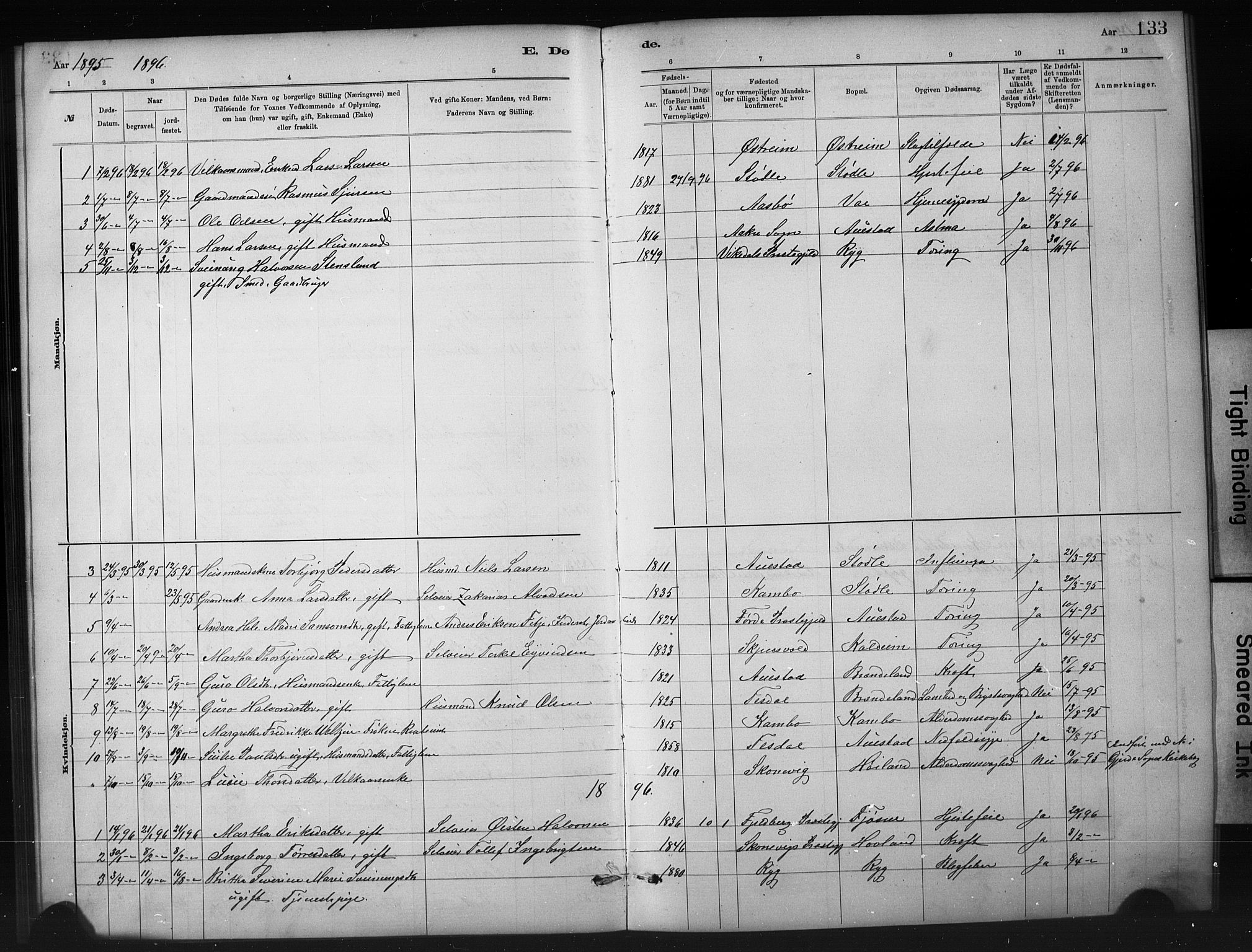 Etne sokneprestembete, SAB/A-75001/H/Hab: Parish register (copy) no. A 5, 1879-1896, p. 133