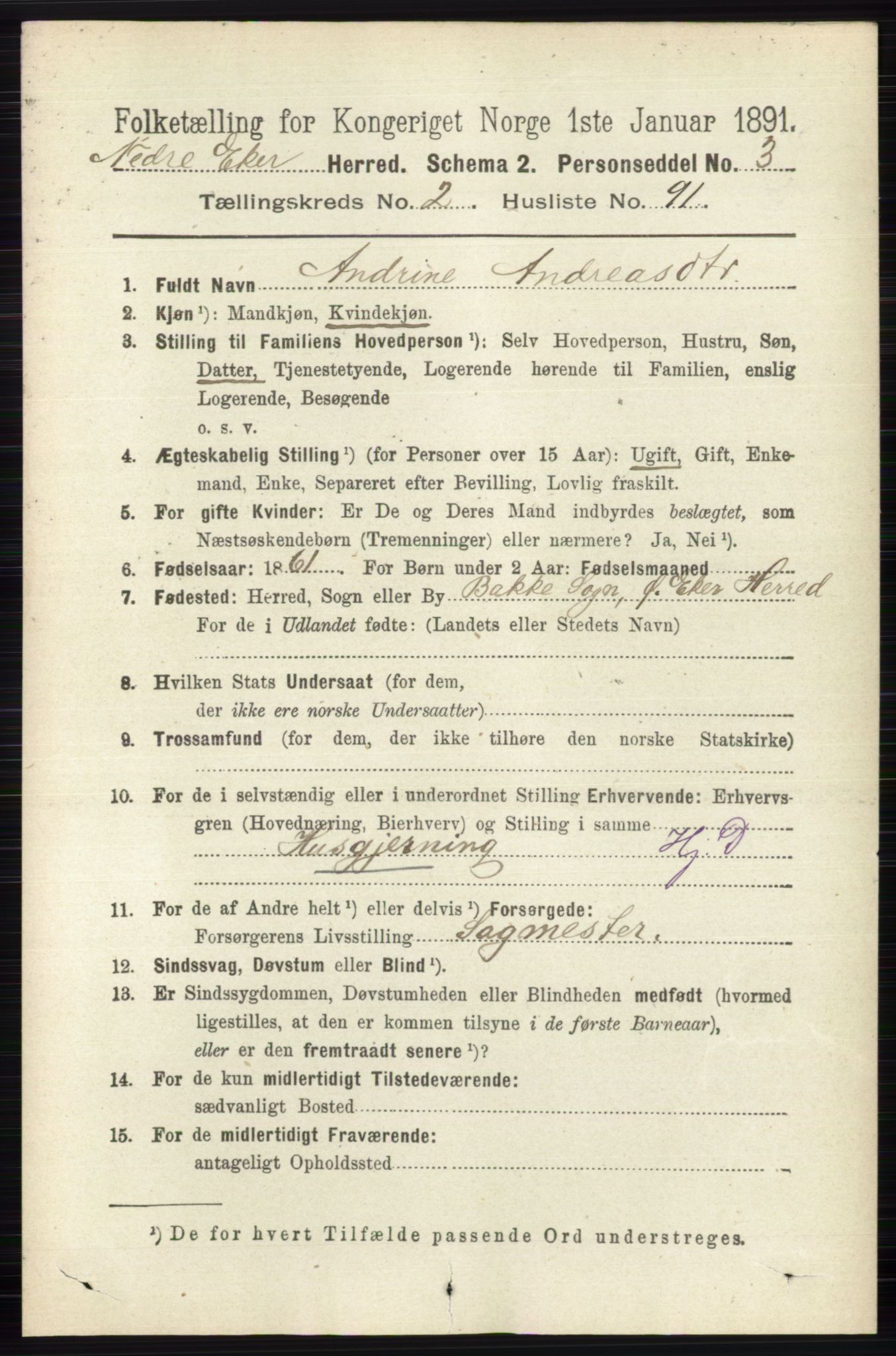 RA, 1891 census for 0625 Nedre Eiker, 1891, p. 1043