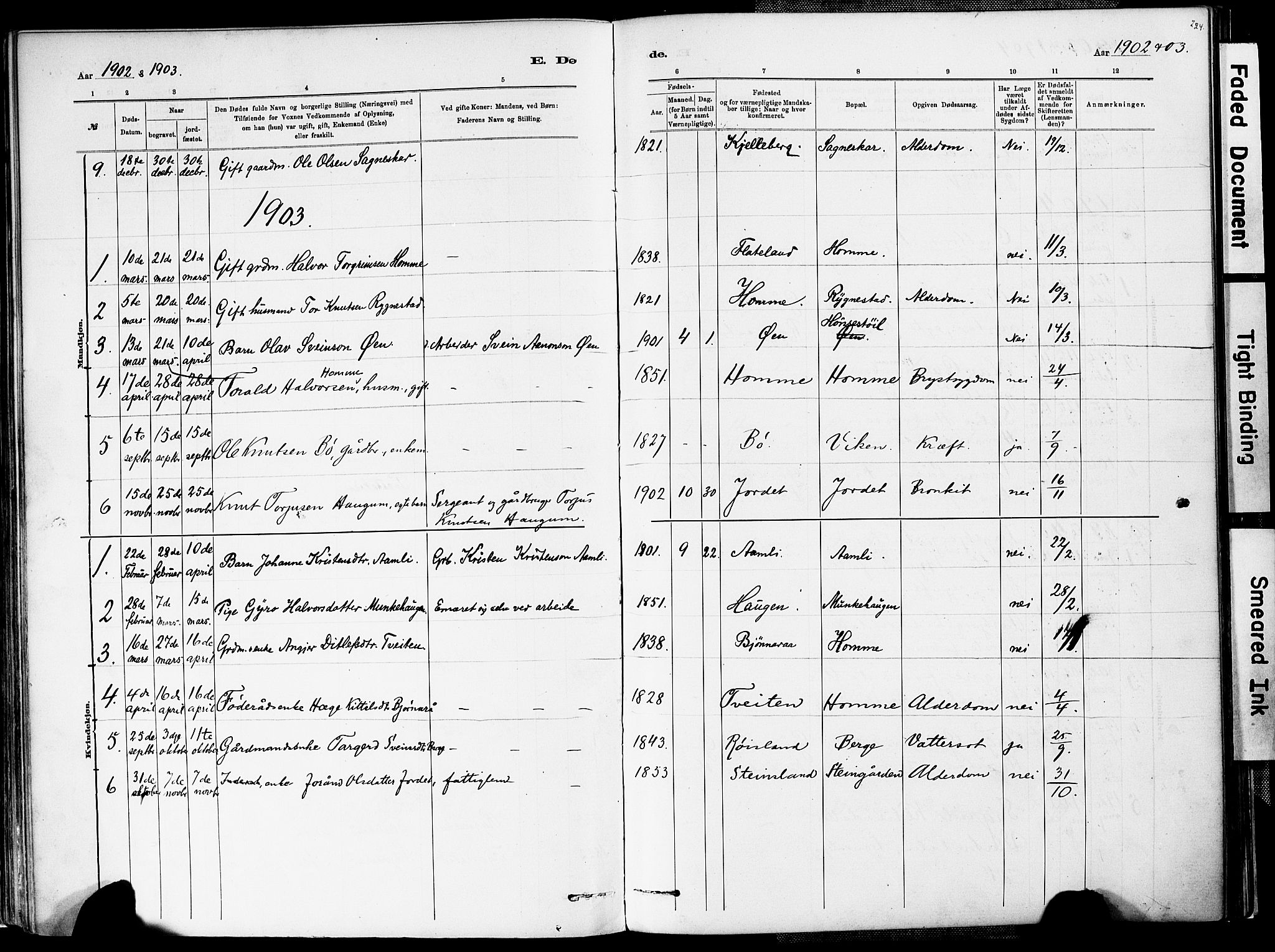 Valle sokneprestkontor, AV/SAK-1111-0044/F/Fa/Fac/L0009: Parish register (official) no. A 9, 1882-1913, p. 224