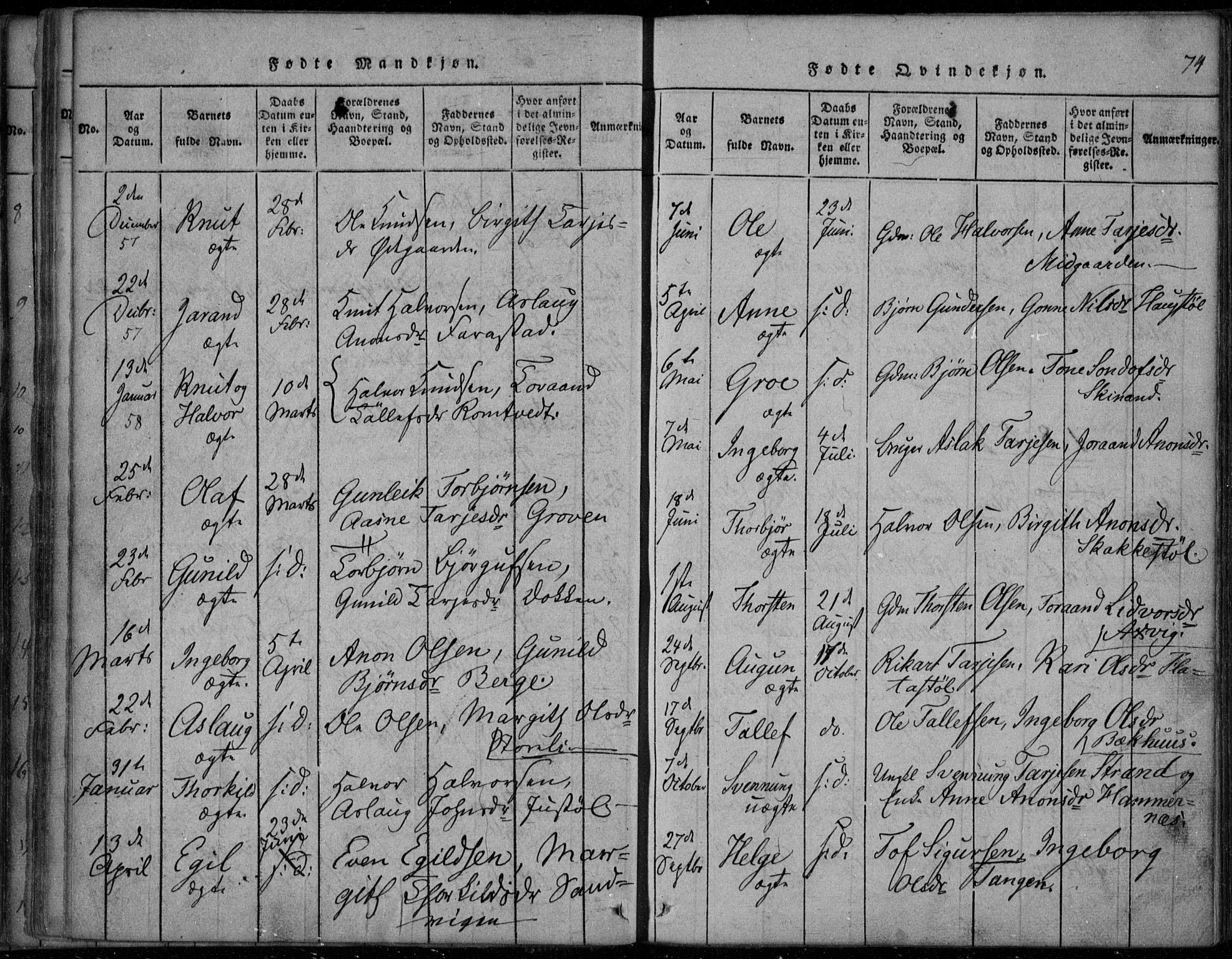 Rauland kirkebøker, SAKO/A-292/F/Fa/L0001: Parish register (official) no. 1, 1814-1859, p. 74