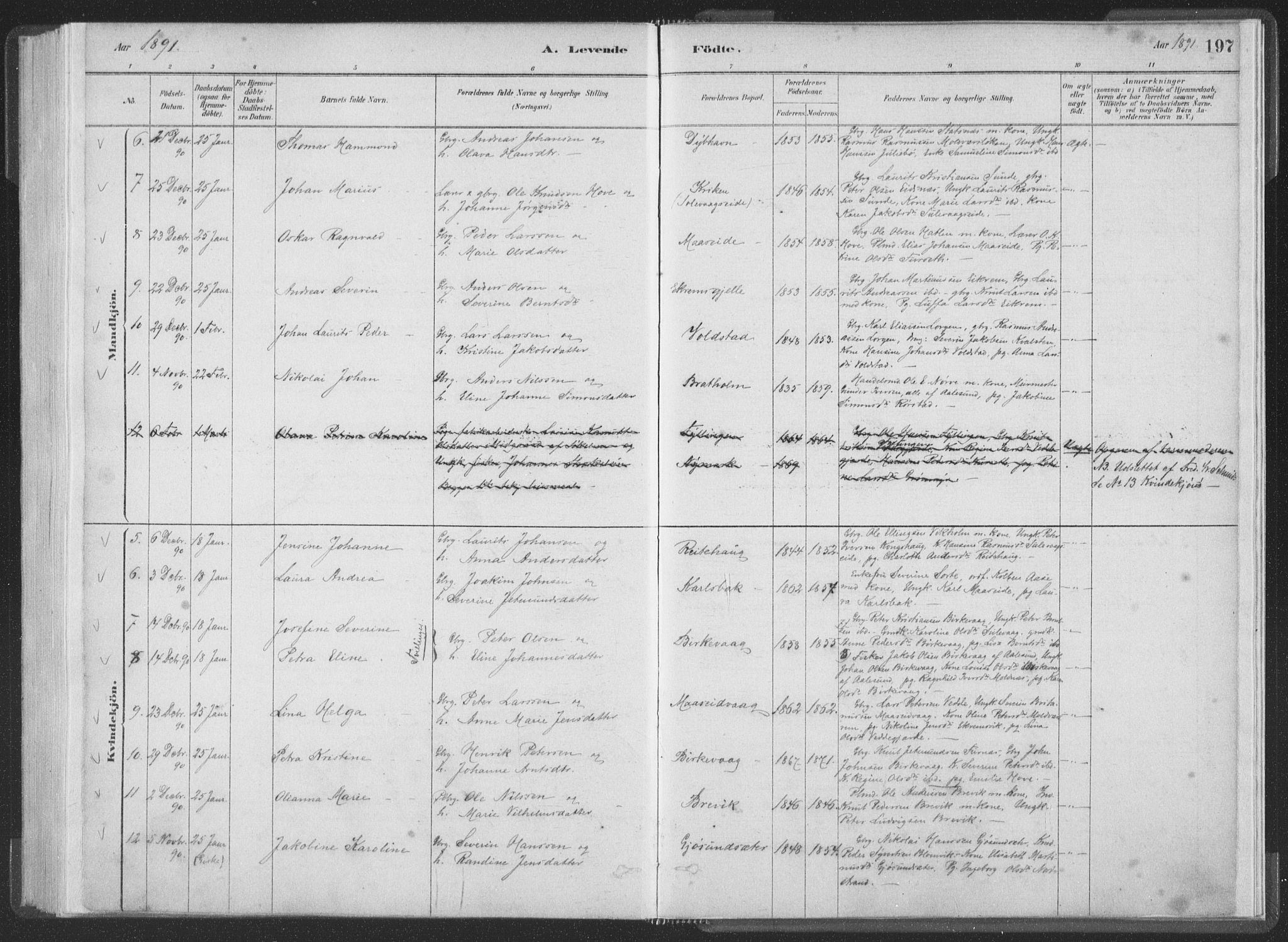 Ministerialprotokoller, klokkerbøker og fødselsregistre - Møre og Romsdal, AV/SAT-A-1454/528/L0401: Parish register (official) no. 528A12I, 1880-1920, p. 197