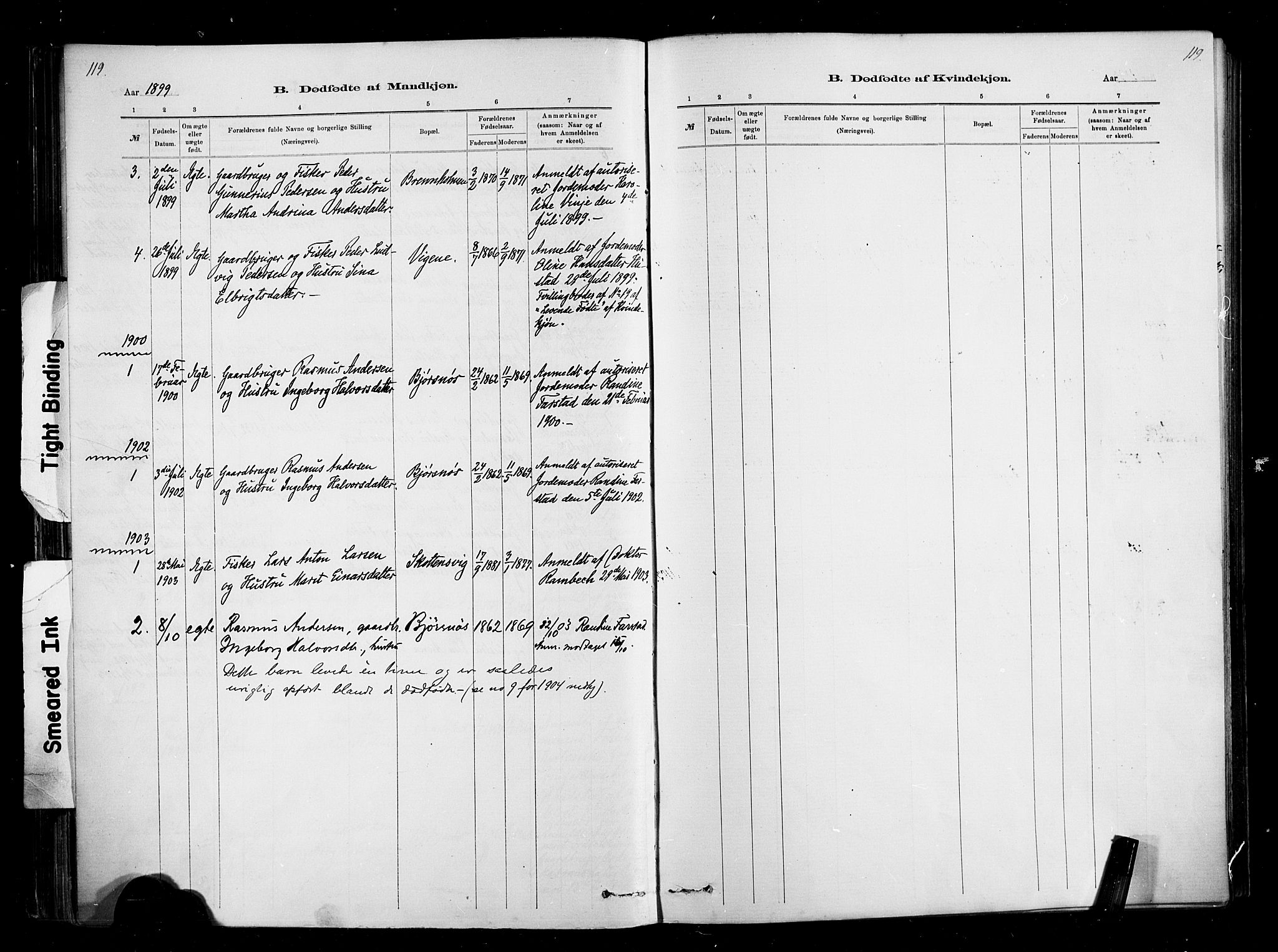 Ministerialprotokoller, klokkerbøker og fødselsregistre - Møre og Romsdal, AV/SAT-A-1454/567/L0778: Parish register (official) no. 567A01, 1881-1903, p. 119