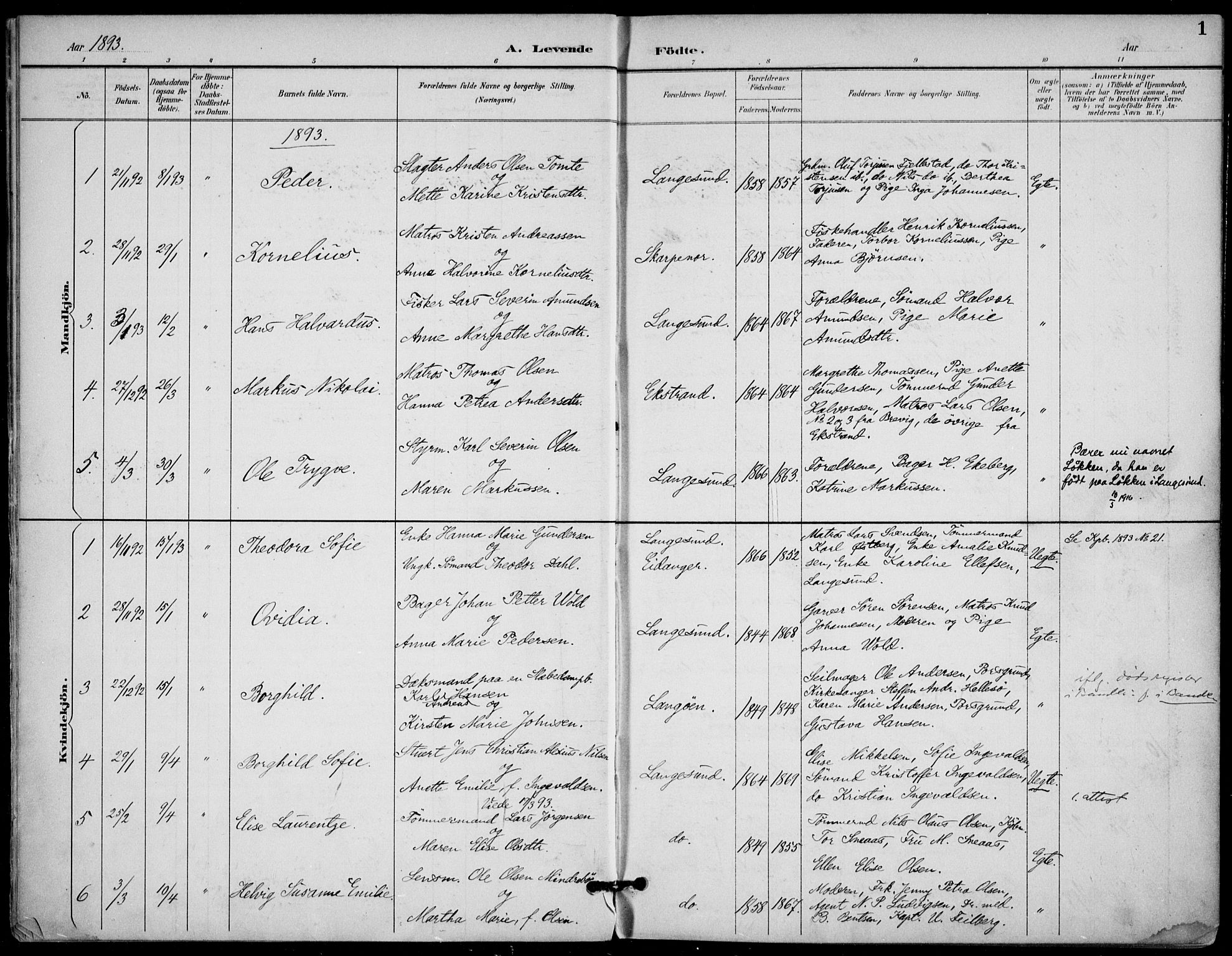 Langesund kirkebøker, SAKO/A-280/F/Fa/L0003: Parish register (official) no. 3, 1893-1907, p. 1