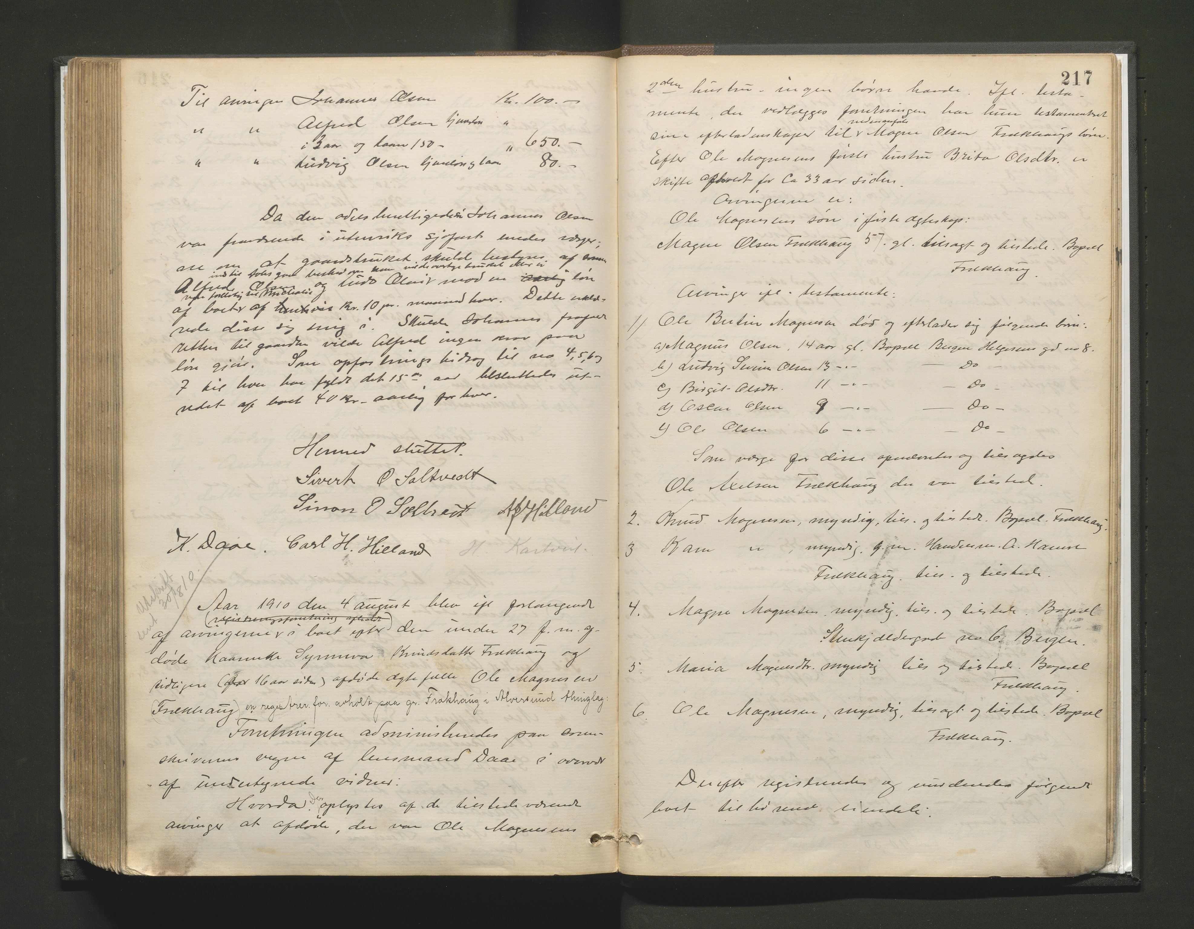 Lensmannen i Alversund, AV/SAB-A-30701/0006/L0001: Registreringsprotokoll, 1887-1913, p. 216b-217a