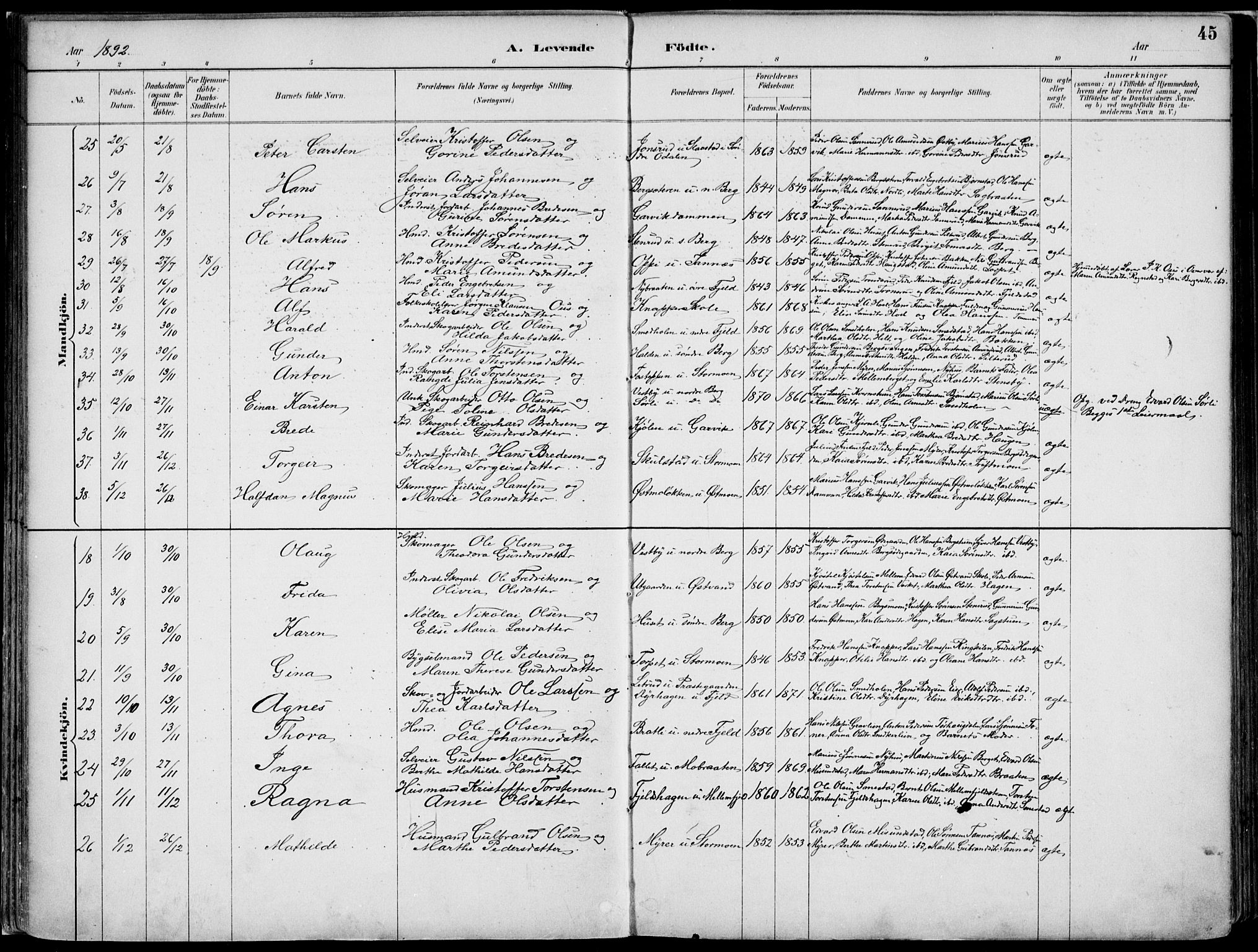 Nord-Odal prestekontor, AV/SAH-PREST-032/H/Ha/Haa/L0008: Parish register (official) no. 8, 1886-1901, p. 45