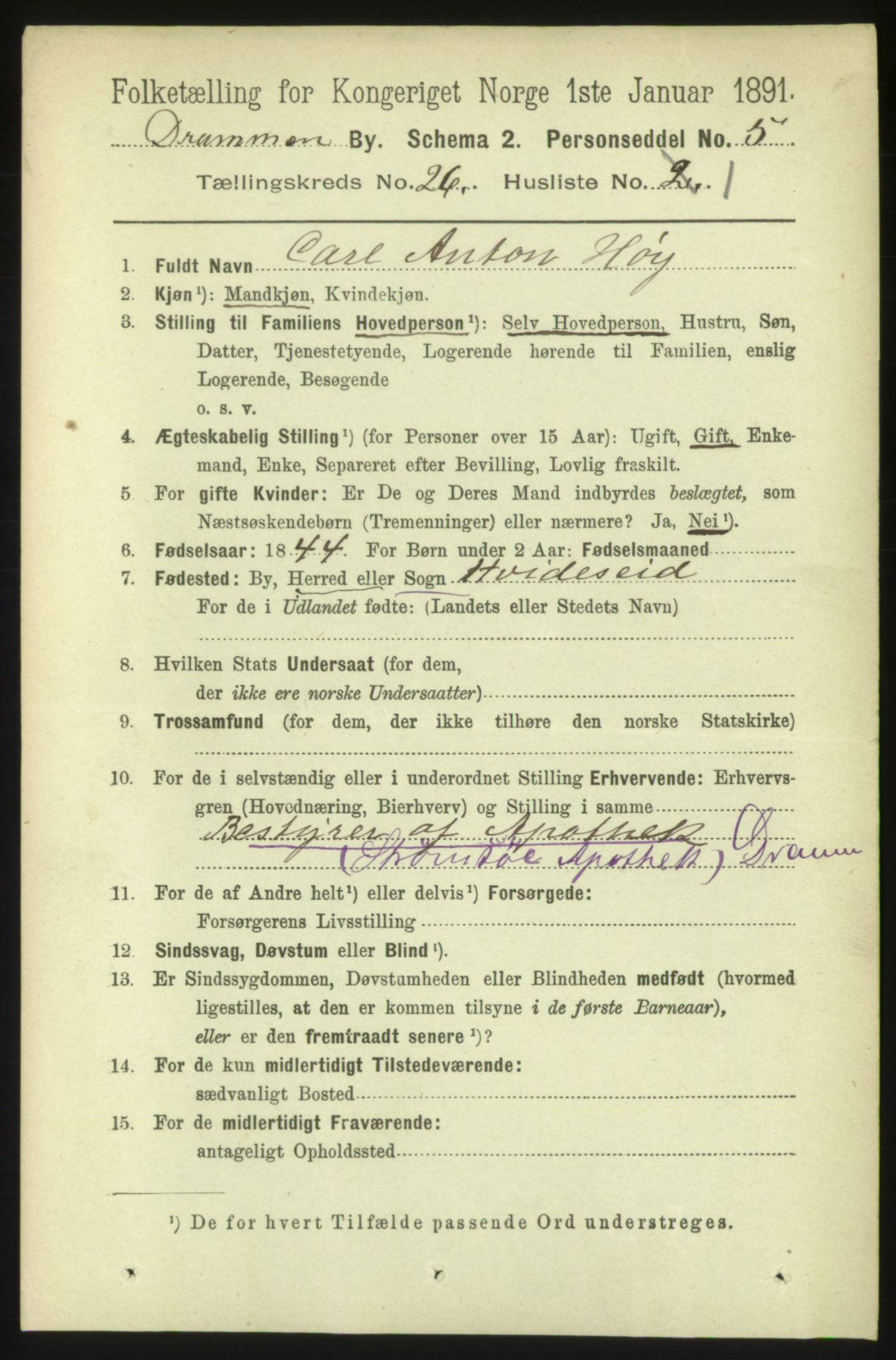 RA, 1891 census for 0602 Drammen, 1891, p. 15795