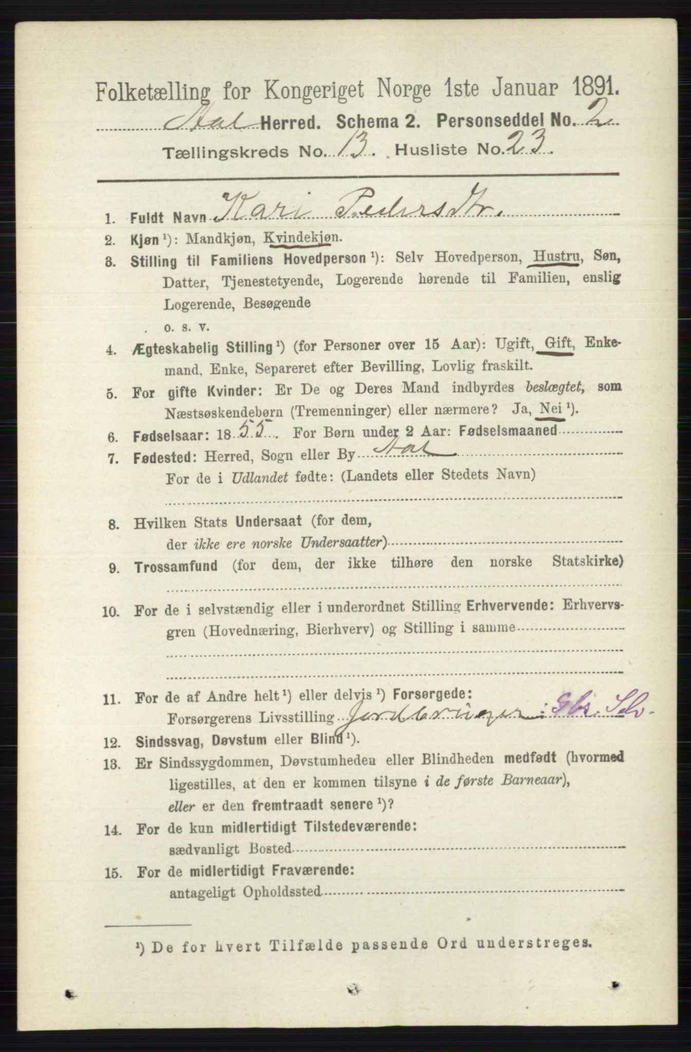 RA, 1891 census for 0619 Ål, 1891, p. 3382