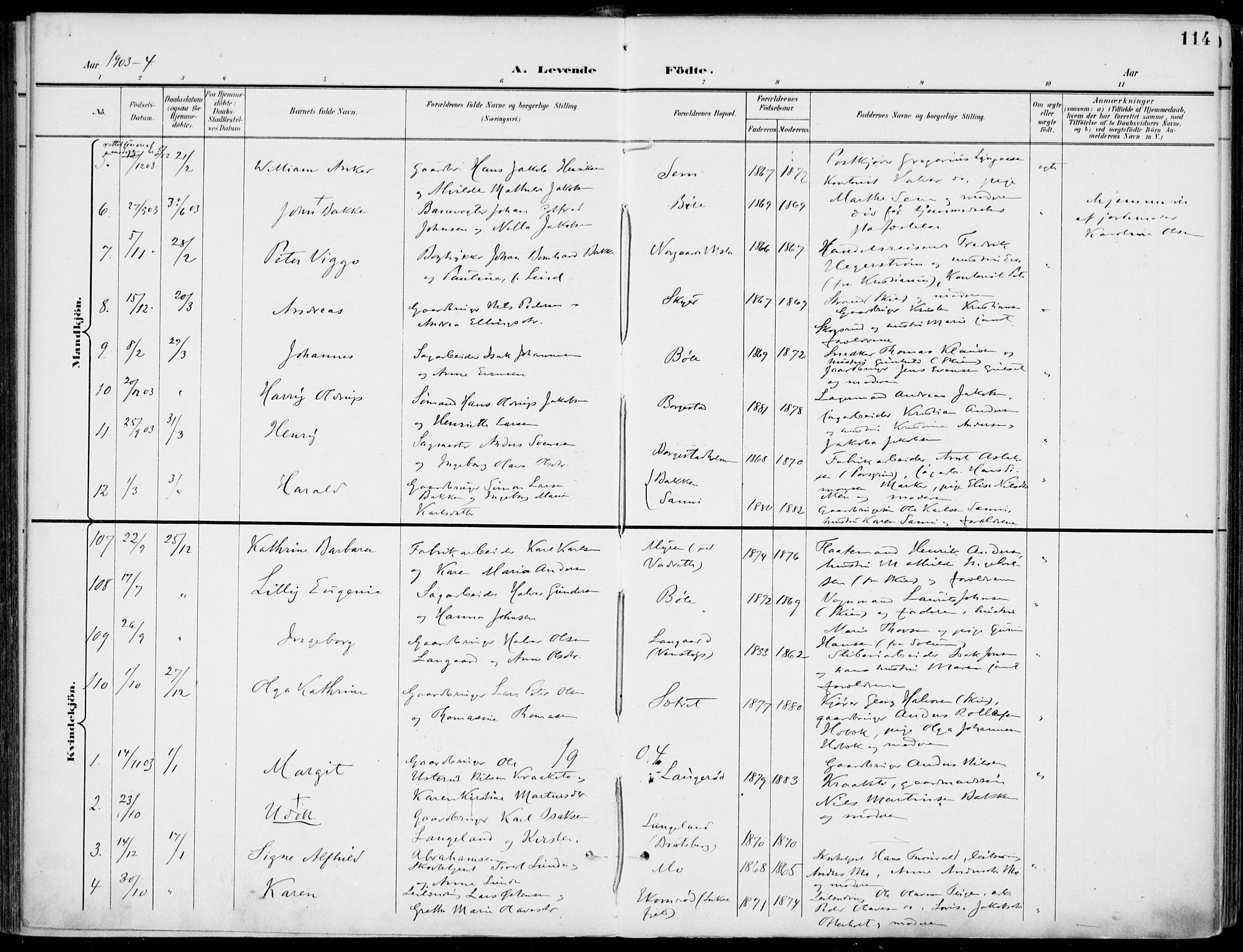 Gjerpen kirkebøker, SAKO/A-265/F/Fa/L0011: Parish register (official) no. I 11, 1896-1904, p. 114