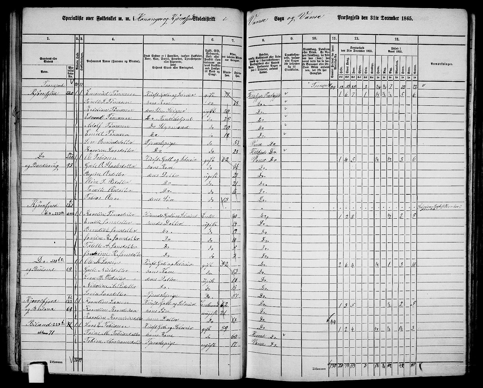 RA, 1865 census for Vanse/Vanse og Farsund, 1865, p. 62