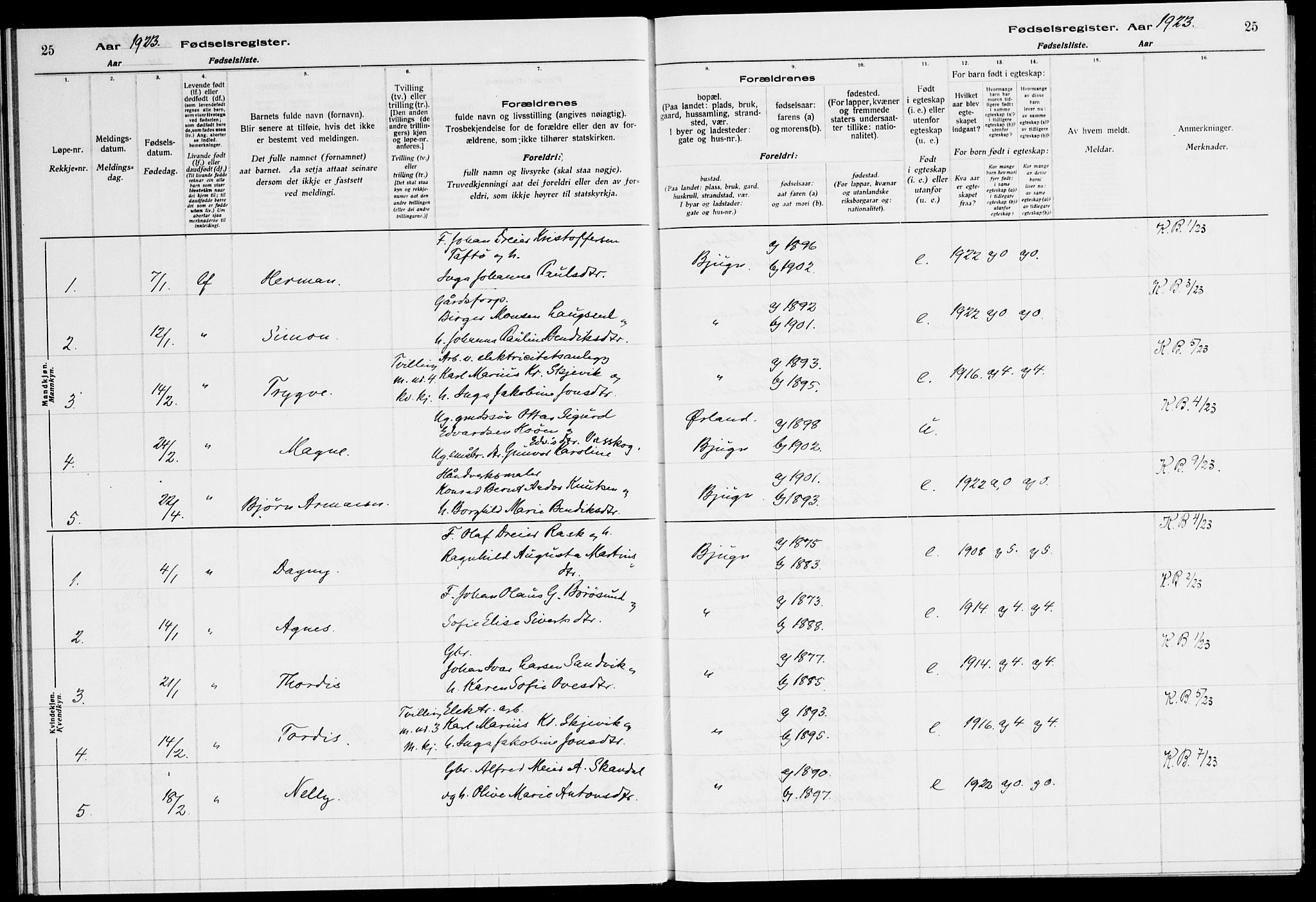 Ministerialprotokoller, klokkerbøker og fødselsregistre - Sør-Trøndelag, SAT/A-1456/651/L0650: Birth register no. 651.II.4.1, 1916-1923, p. 25