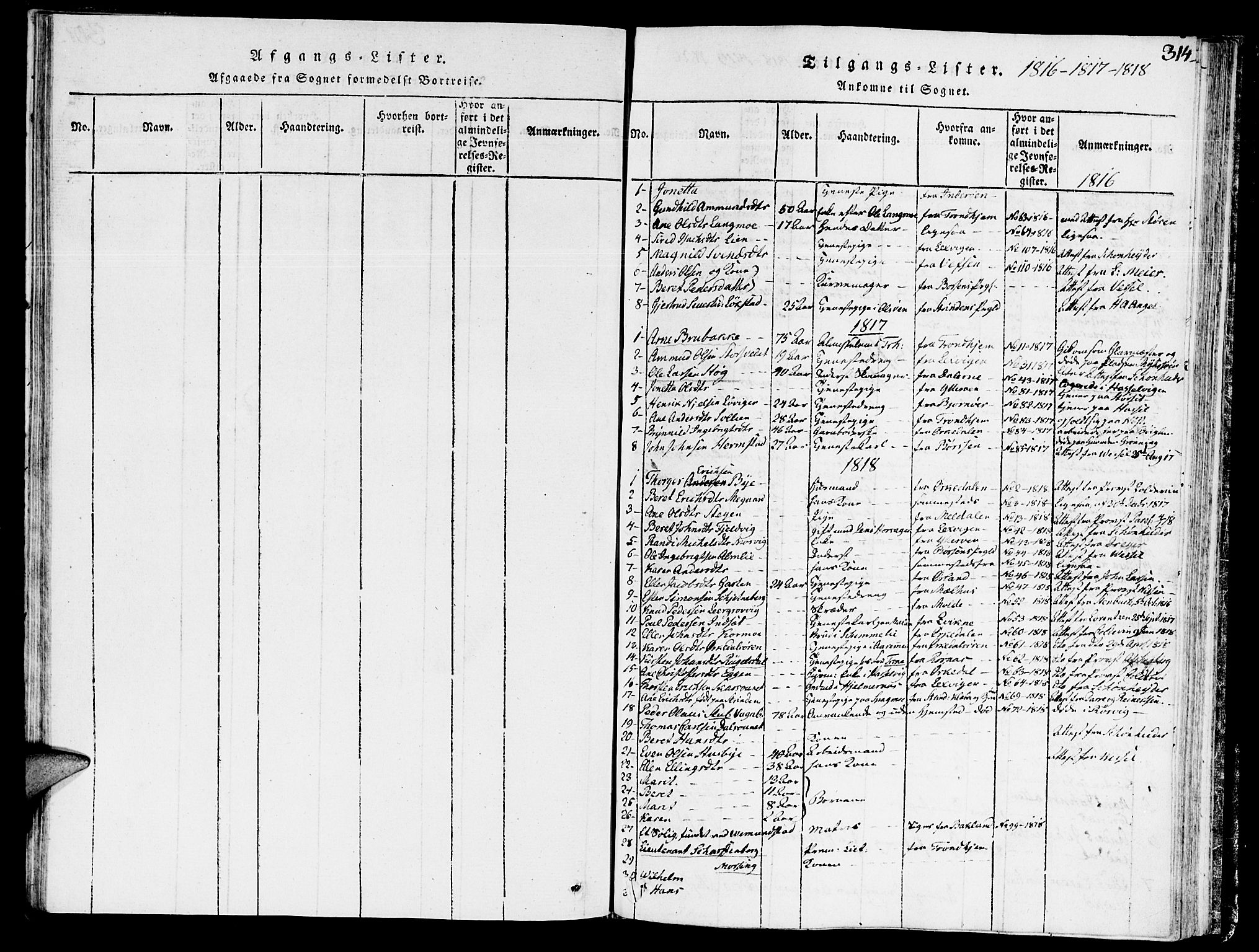 Ministerialprotokoller, klokkerbøker og fødselsregistre - Sør-Trøndelag, SAT/A-1456/646/L0608: Parish register (official) no. 646A06, 1816-1825, p. 314
