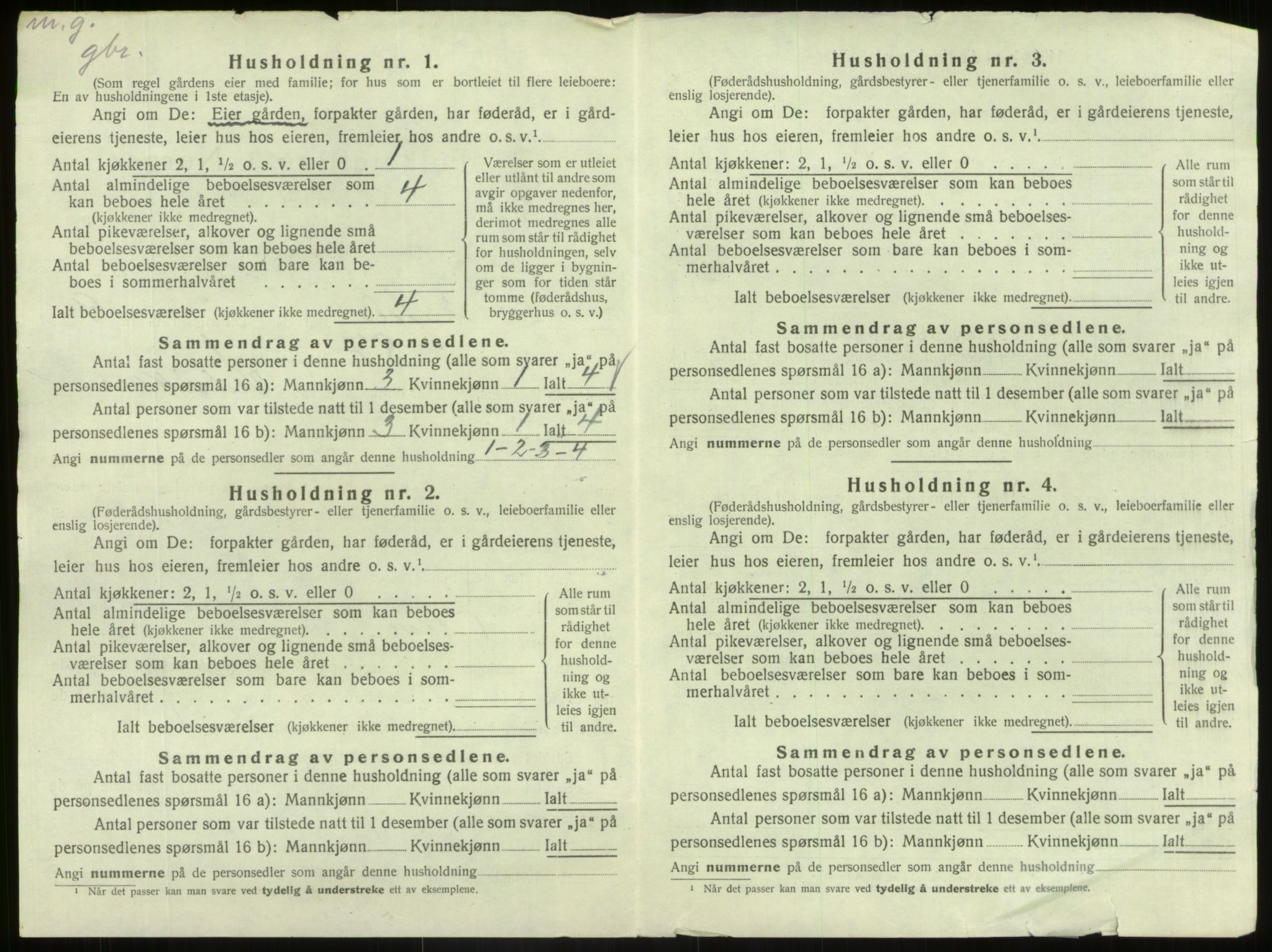 SAB, 1920 census for Hafslo, 1920, p. 1145