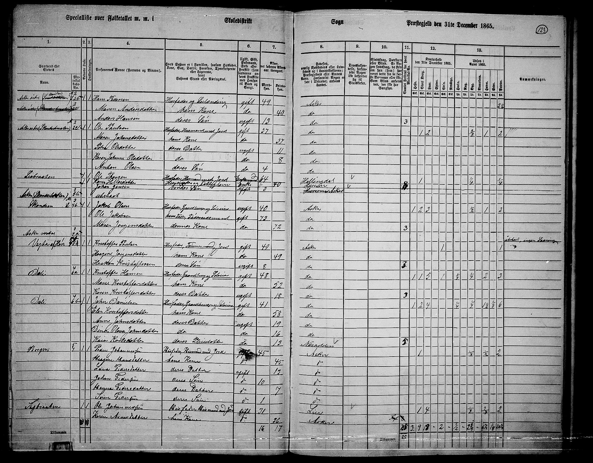 RA, 1865 census for Asker, 1865, p. 119