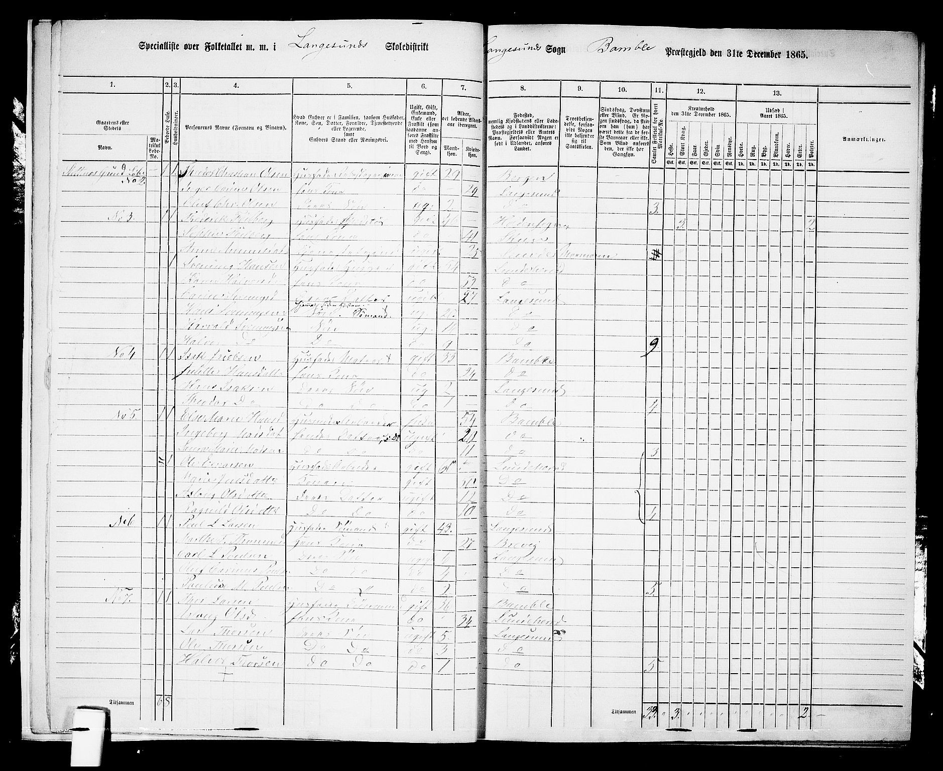 RA, 1865 census for Bamble, 1865, p. 193