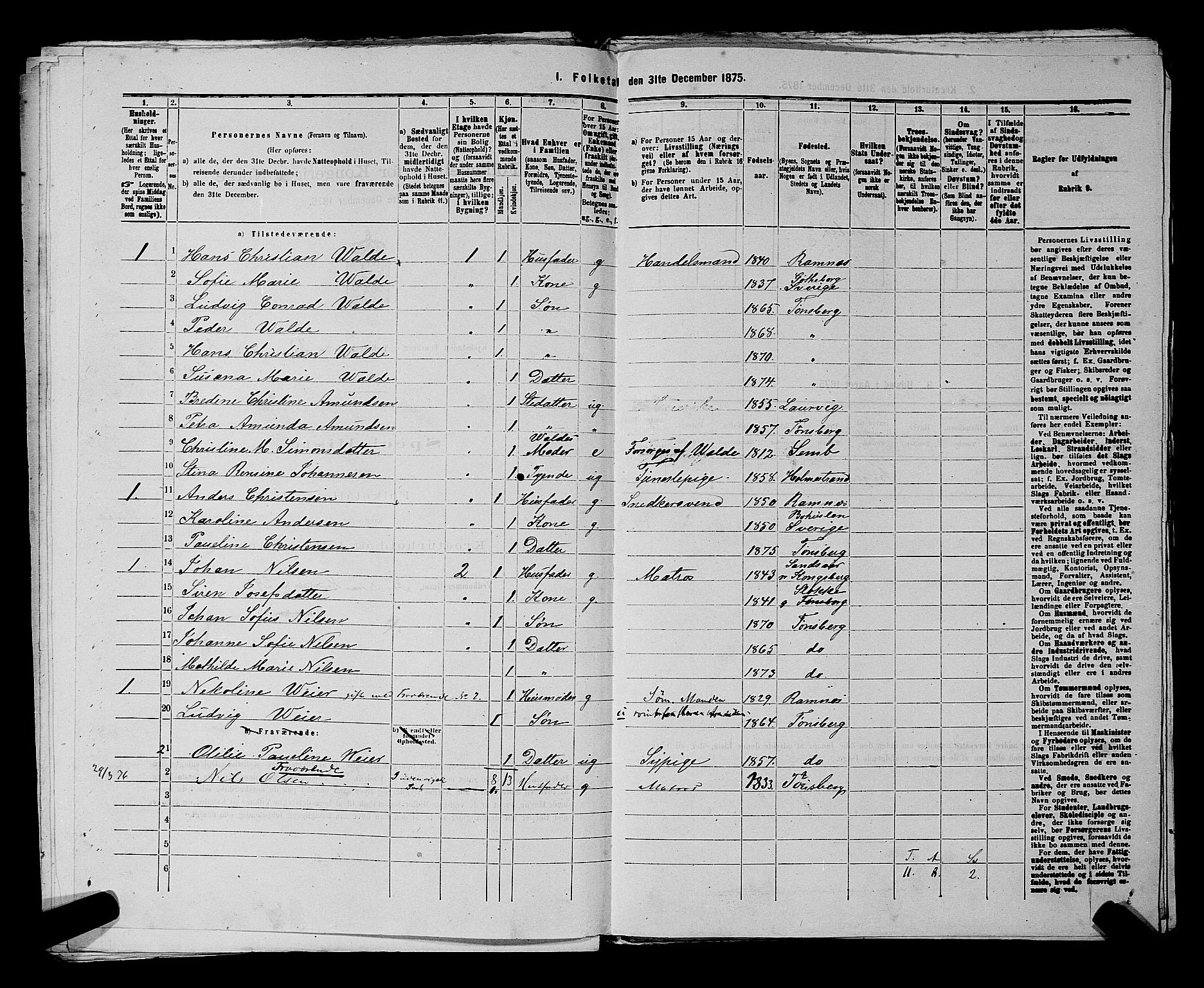 SAKO, 1875 census for 0705P Tønsberg, 1875, p. 739