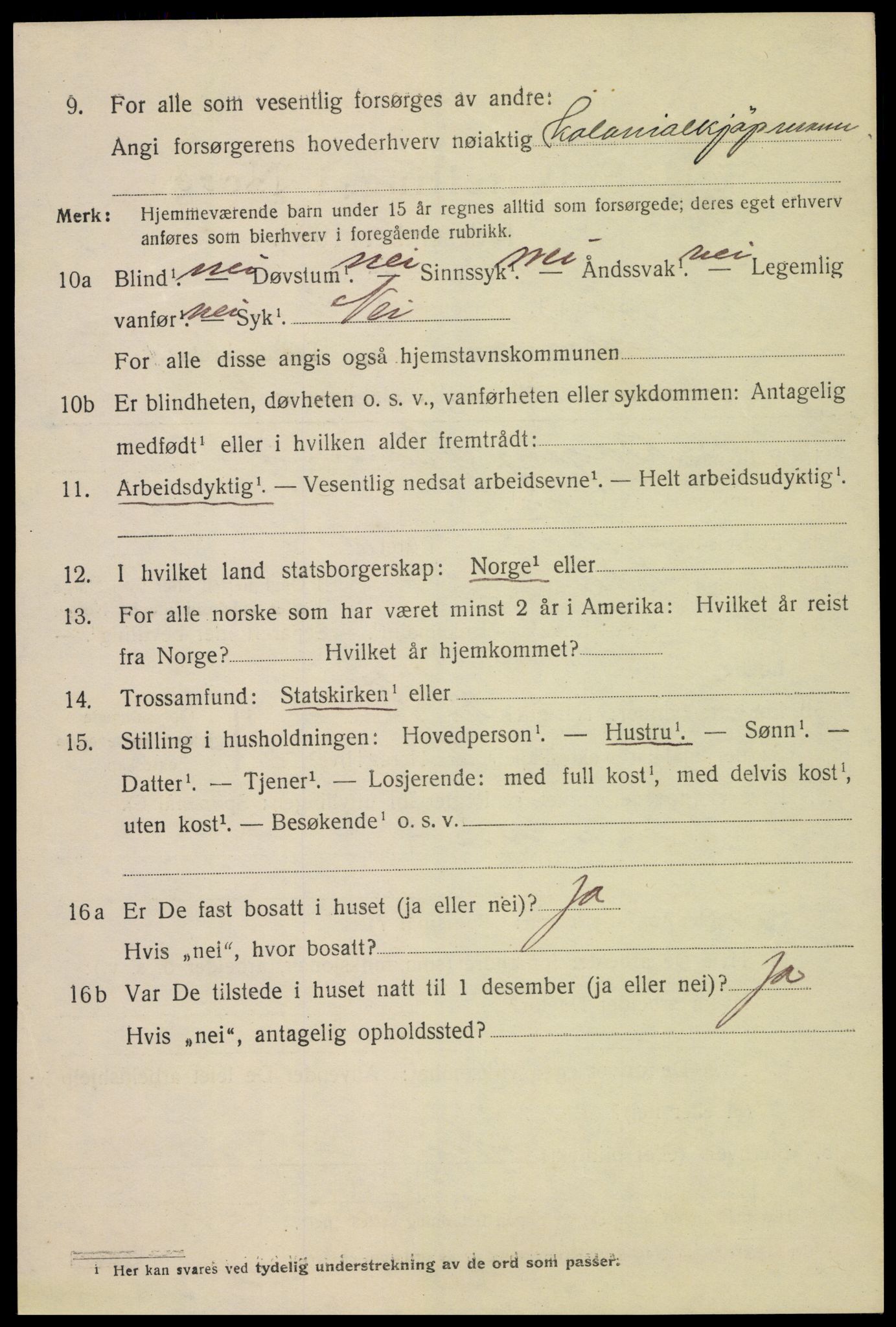 SAH, 1920 census for Hamar, 1920, p. 13028