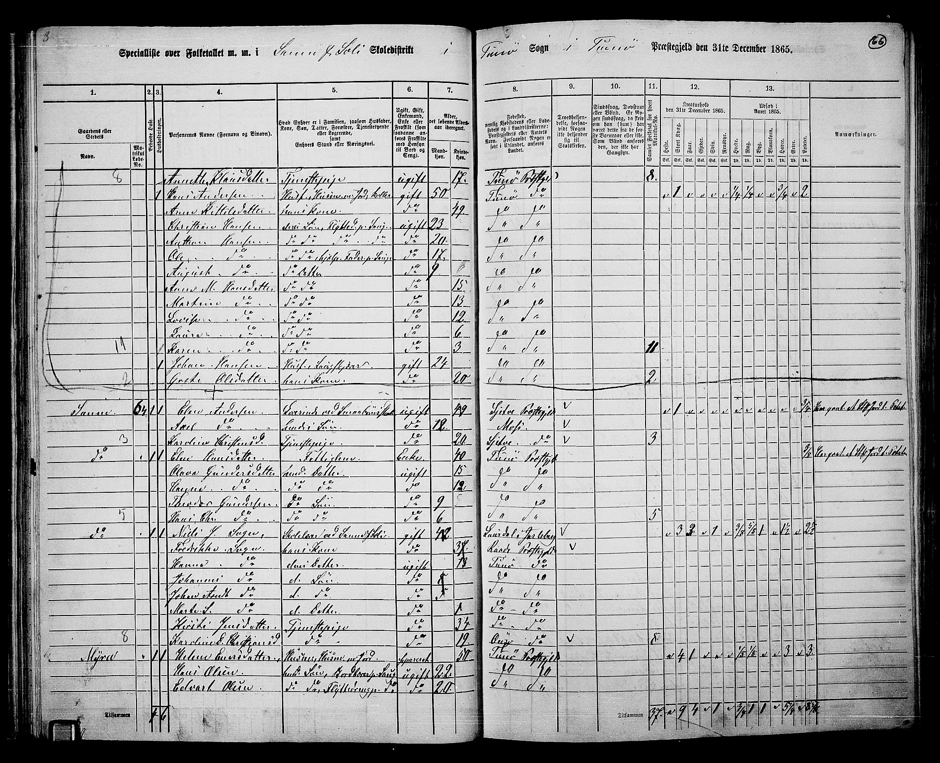 RA, 1865 census for Tune, 1865, p. 62