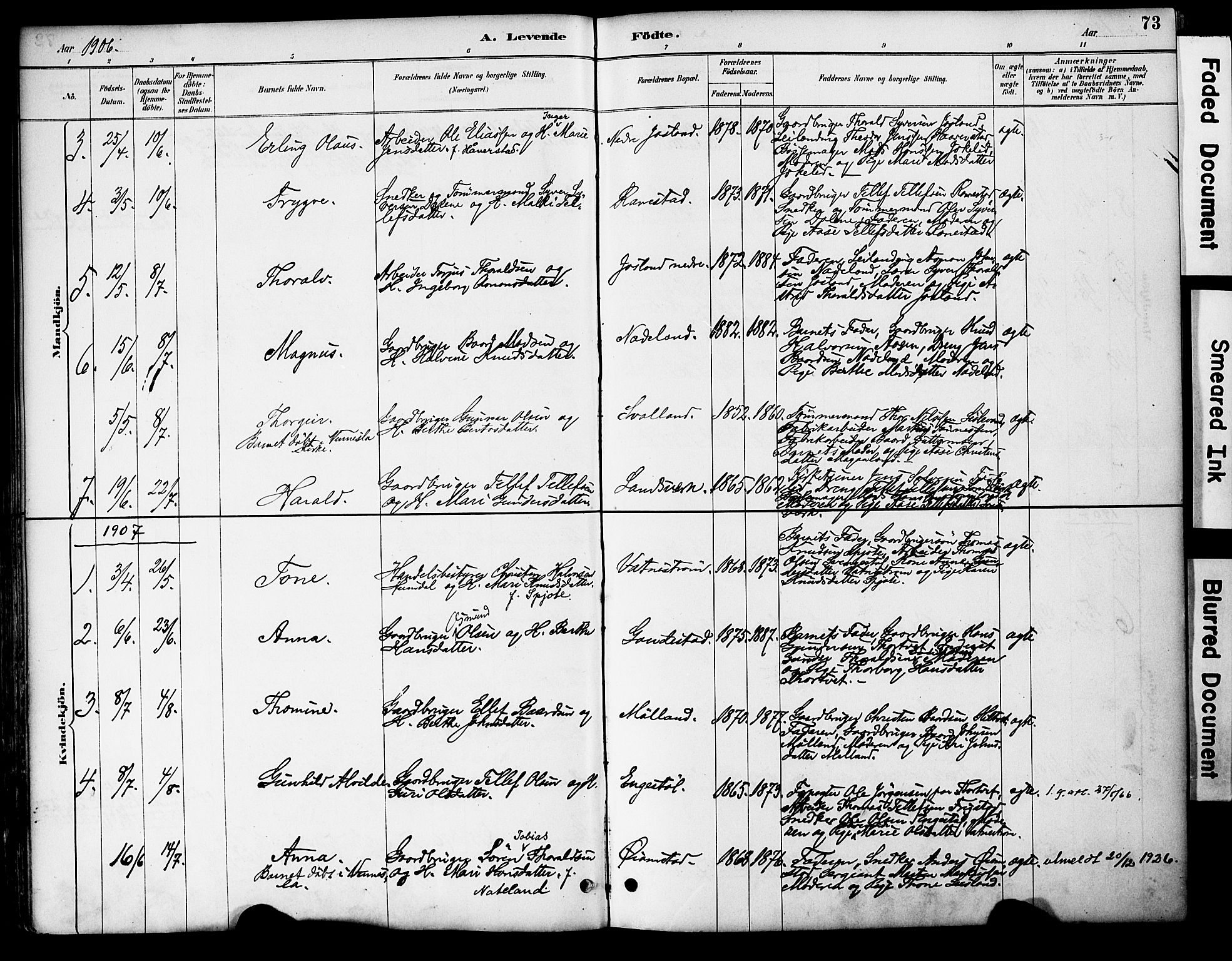 Evje sokneprestkontor, AV/SAK-1111-0008/F/Fa/Fac/L0003: Parish register (official) no. A 3, 1884-1909, p. 73