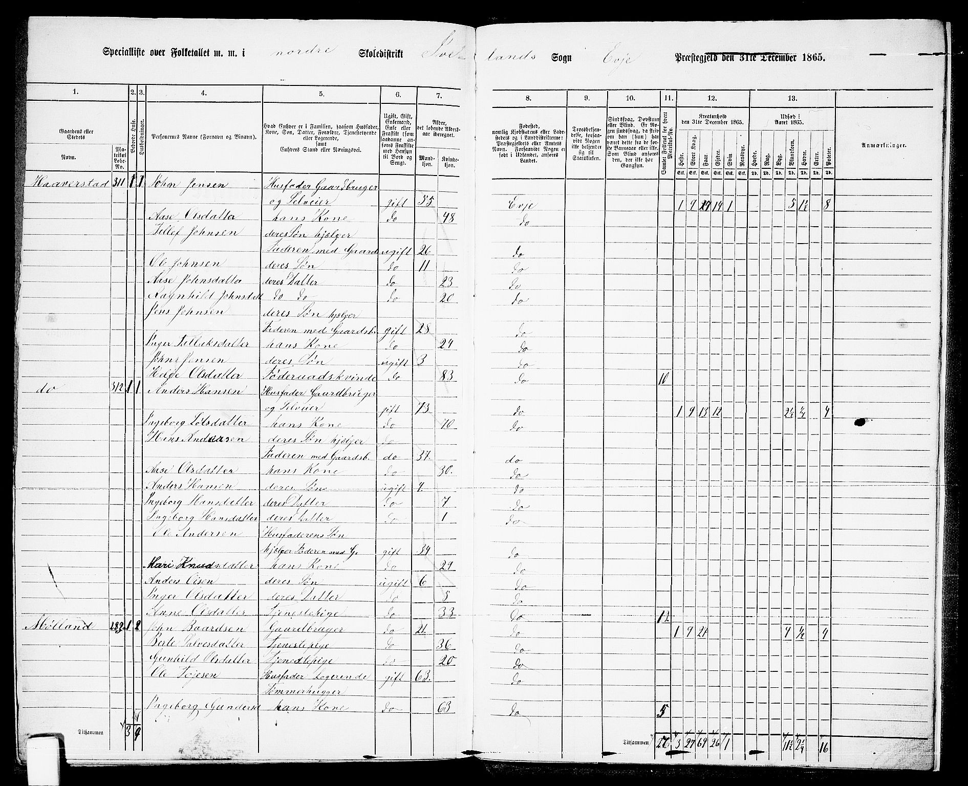 RA, 1865 census for Evje, 1865, p. 171