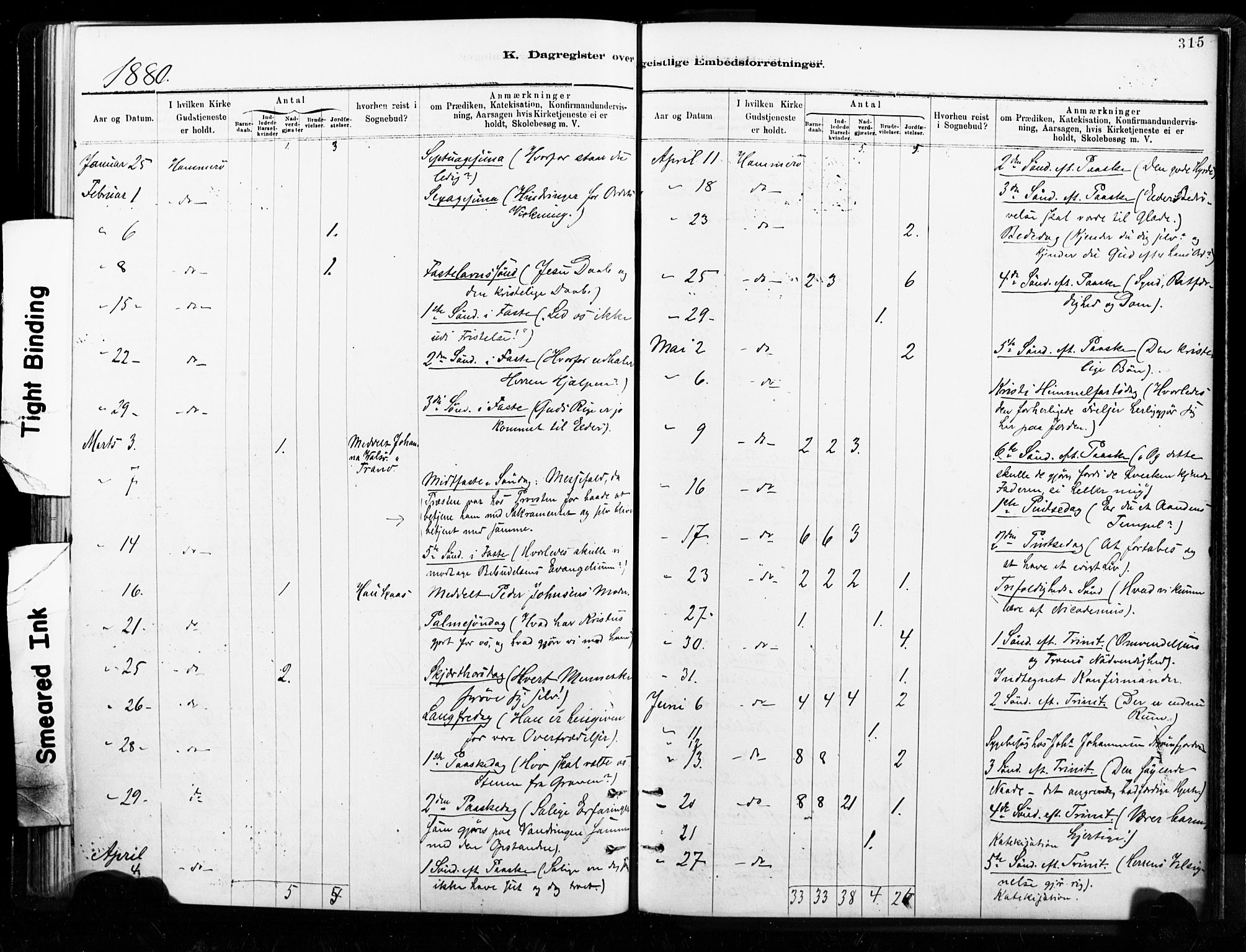 Ministerialprotokoller, klokkerbøker og fødselsregistre - Nordland, AV/SAT-A-1459/859/L0846: Parish register (official) no. 859A06, 1878-1889, p. 315