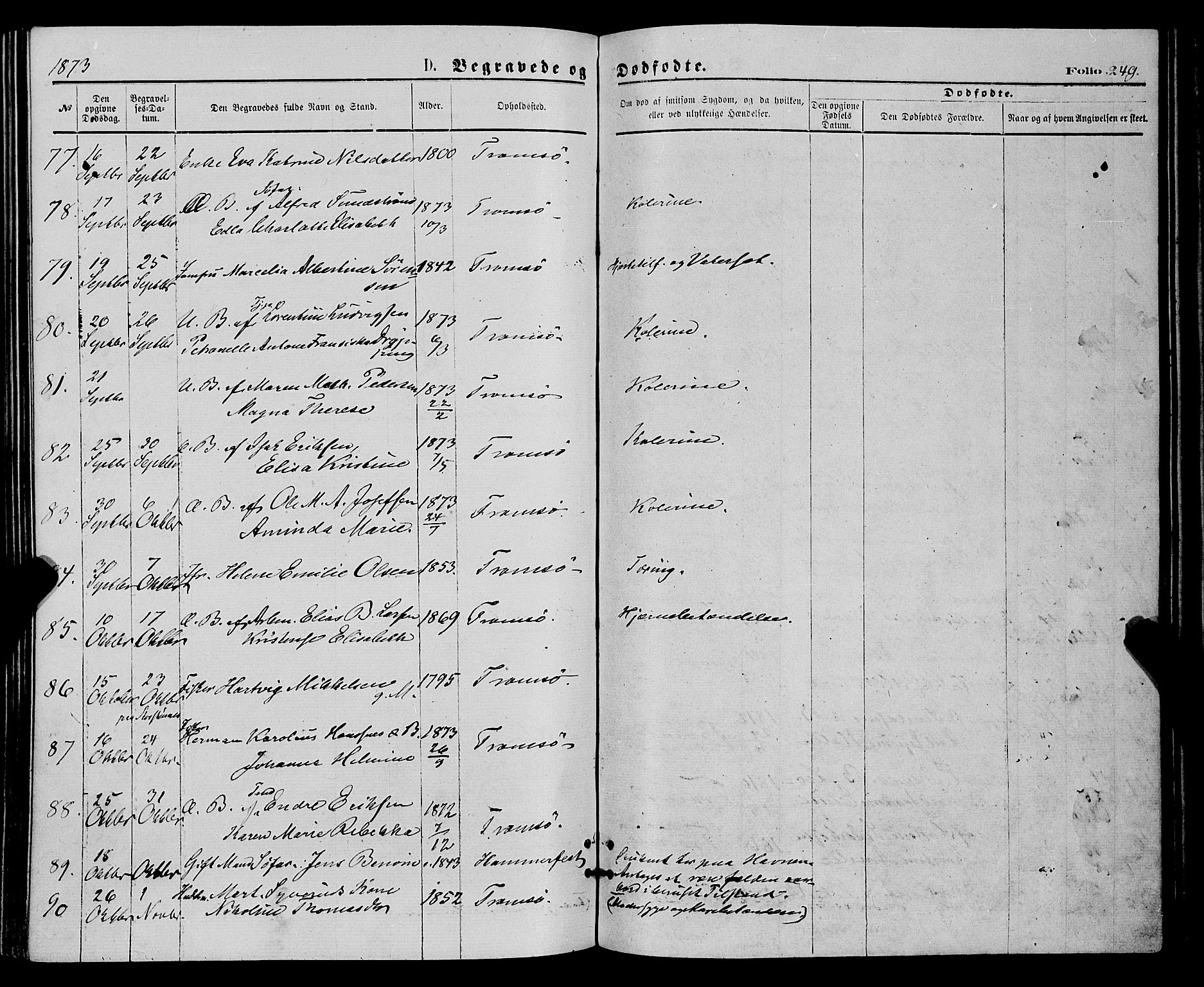 Tromsø sokneprestkontor/stiftsprosti/domprosti, AV/SATØ-S-1343/G/Ga/L0013kirke: Parish register (official) no. 13, 1872-1877, p. 249