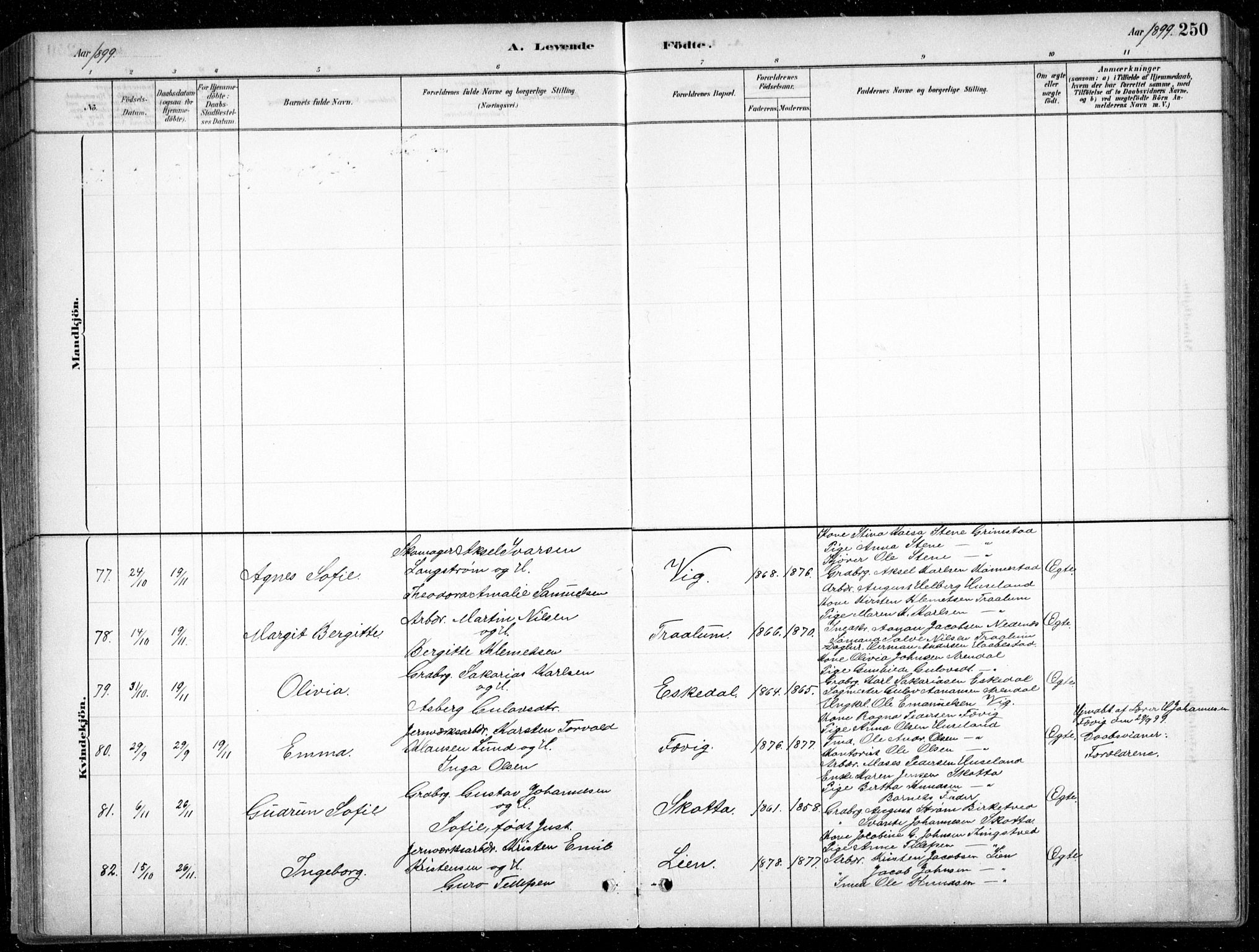 Fjære sokneprestkontor, AV/SAK-1111-0011/F/Fb/L0011: Parish register (copy) no. B 11, 1881-1905, p. 250