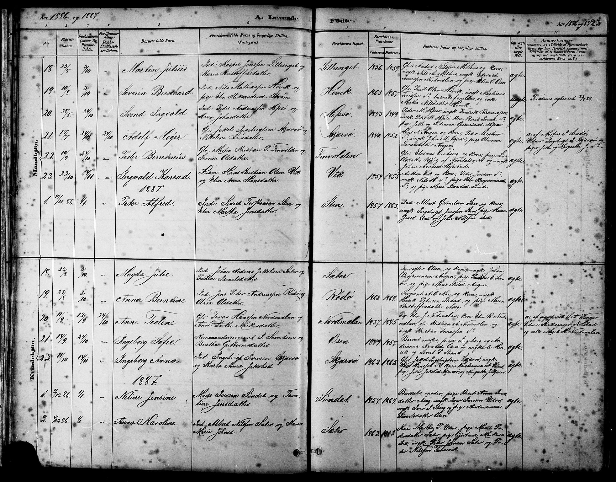 Ministerialprotokoller, klokkerbøker og fødselsregistre - Sør-Trøndelag, SAT/A-1456/658/L0726: Parish register (copy) no. 658C02, 1883-1908, p. 25