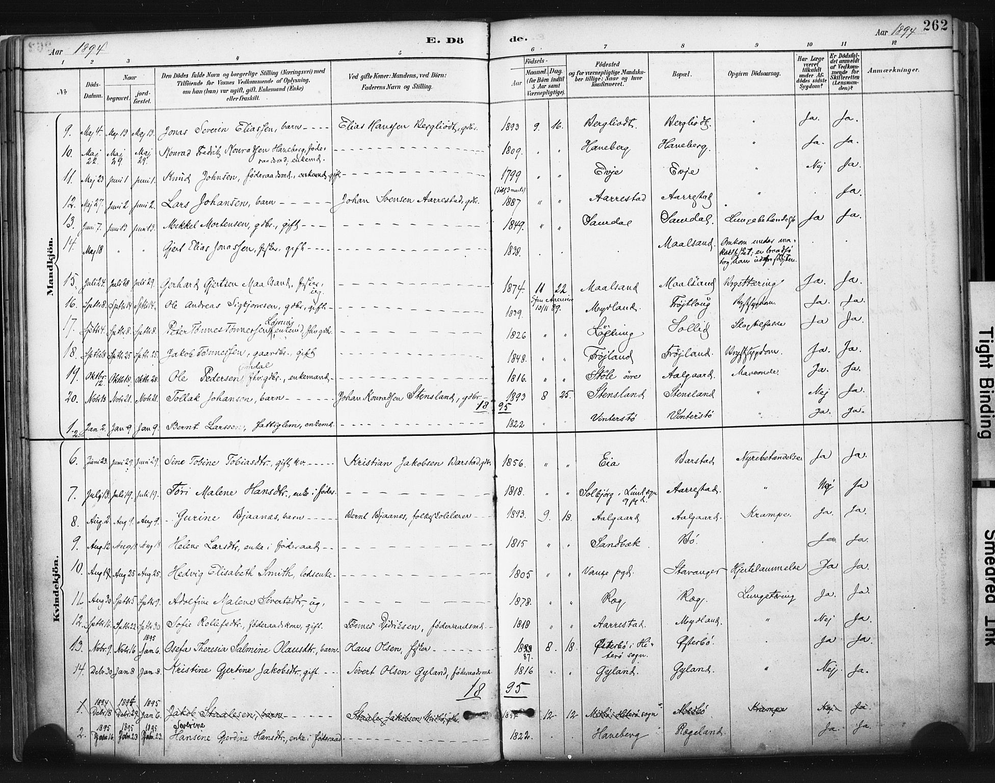 Sokndal sokneprestkontor, SAST/A-101808: Parish register (official) no. A 11.2, 1887-1905, p. 262
