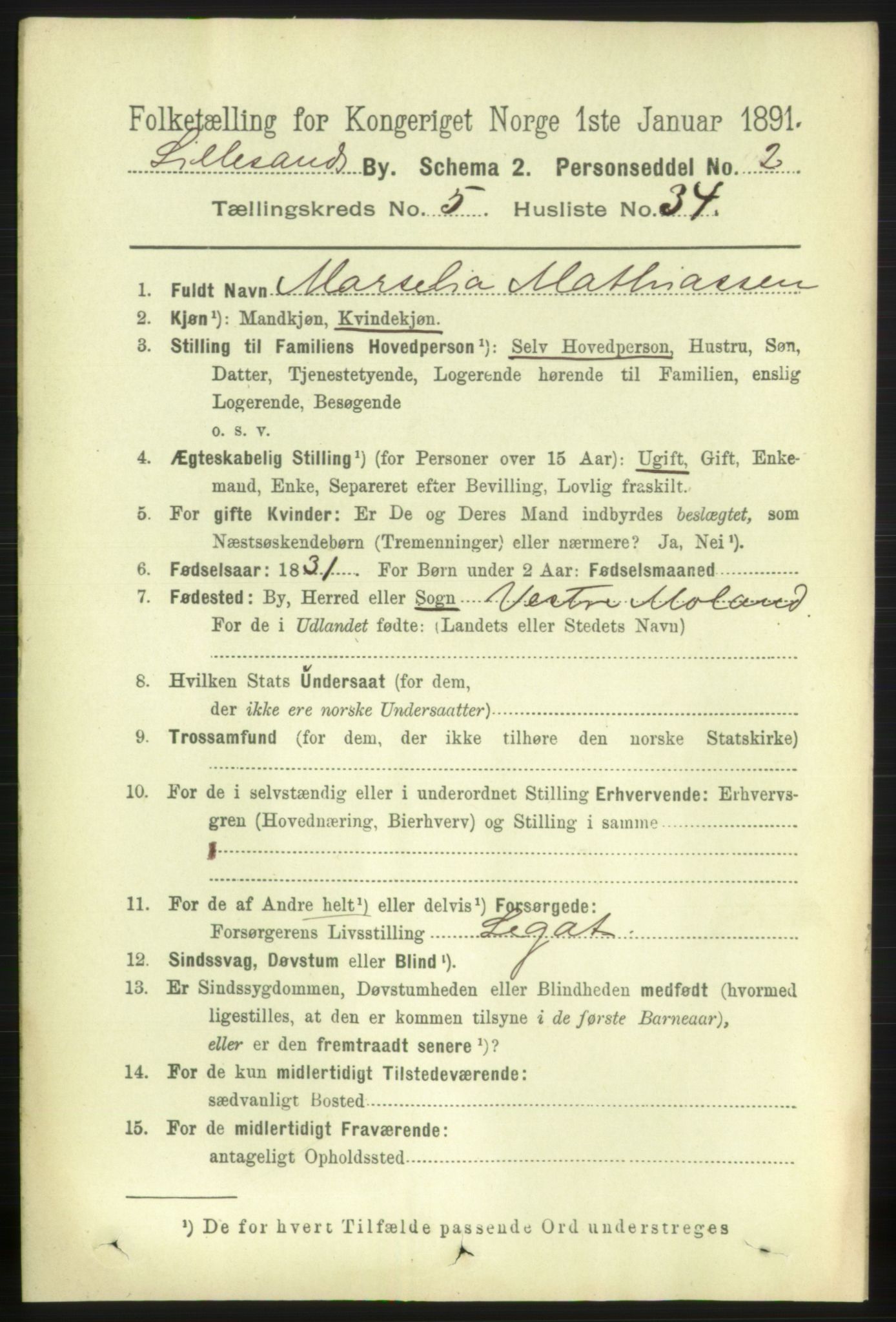 RA, 1891 census for 0905 Lillesand, 1891, p. 1602