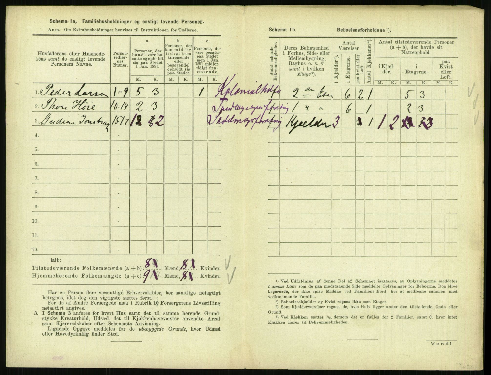 RA, 1891 census for 0903 Arendal, 1891, p. 895