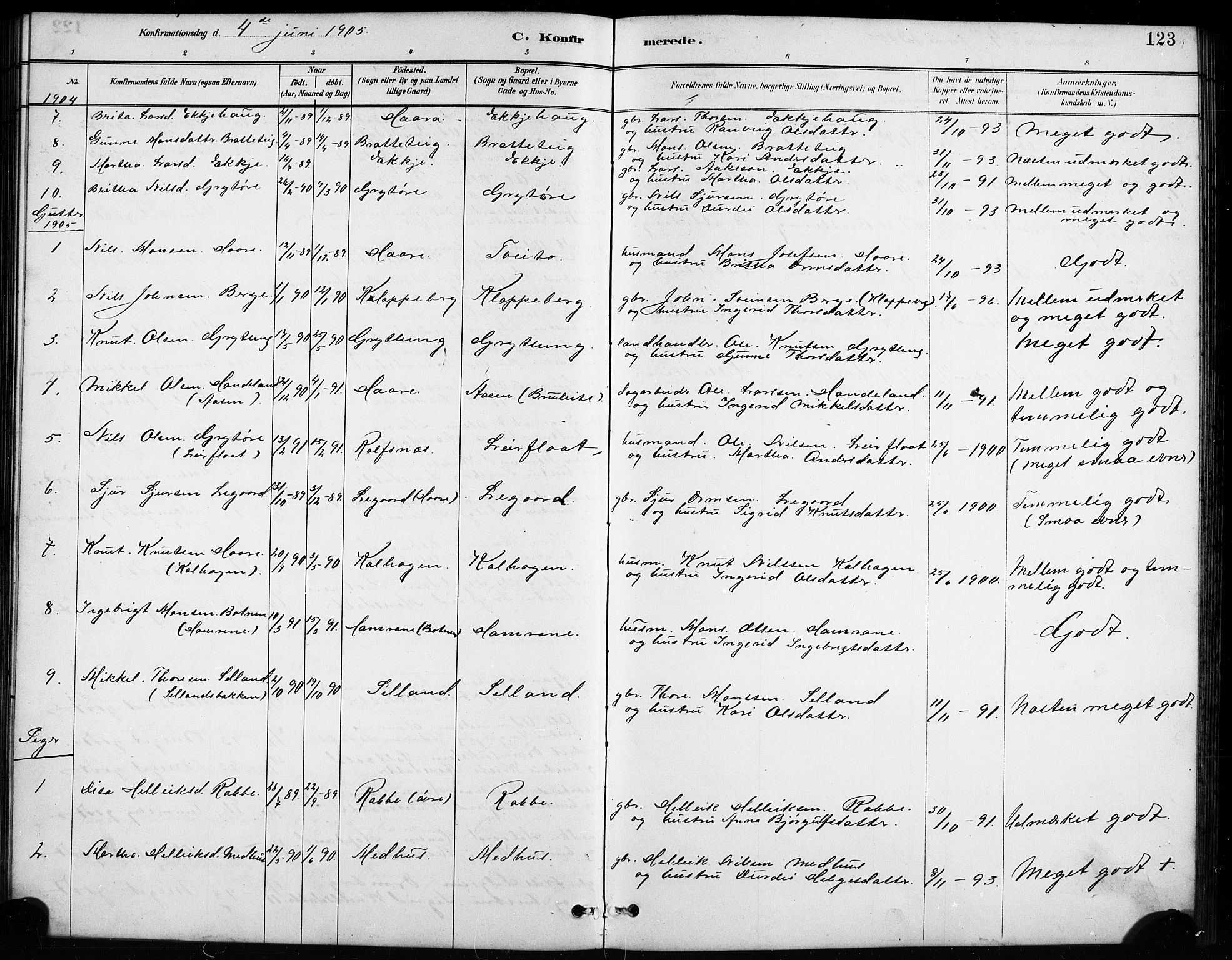 Røldal sokneprestembete, SAB/A-100247: Parish register (copy) no. A 3, 1887-1917, p. 123