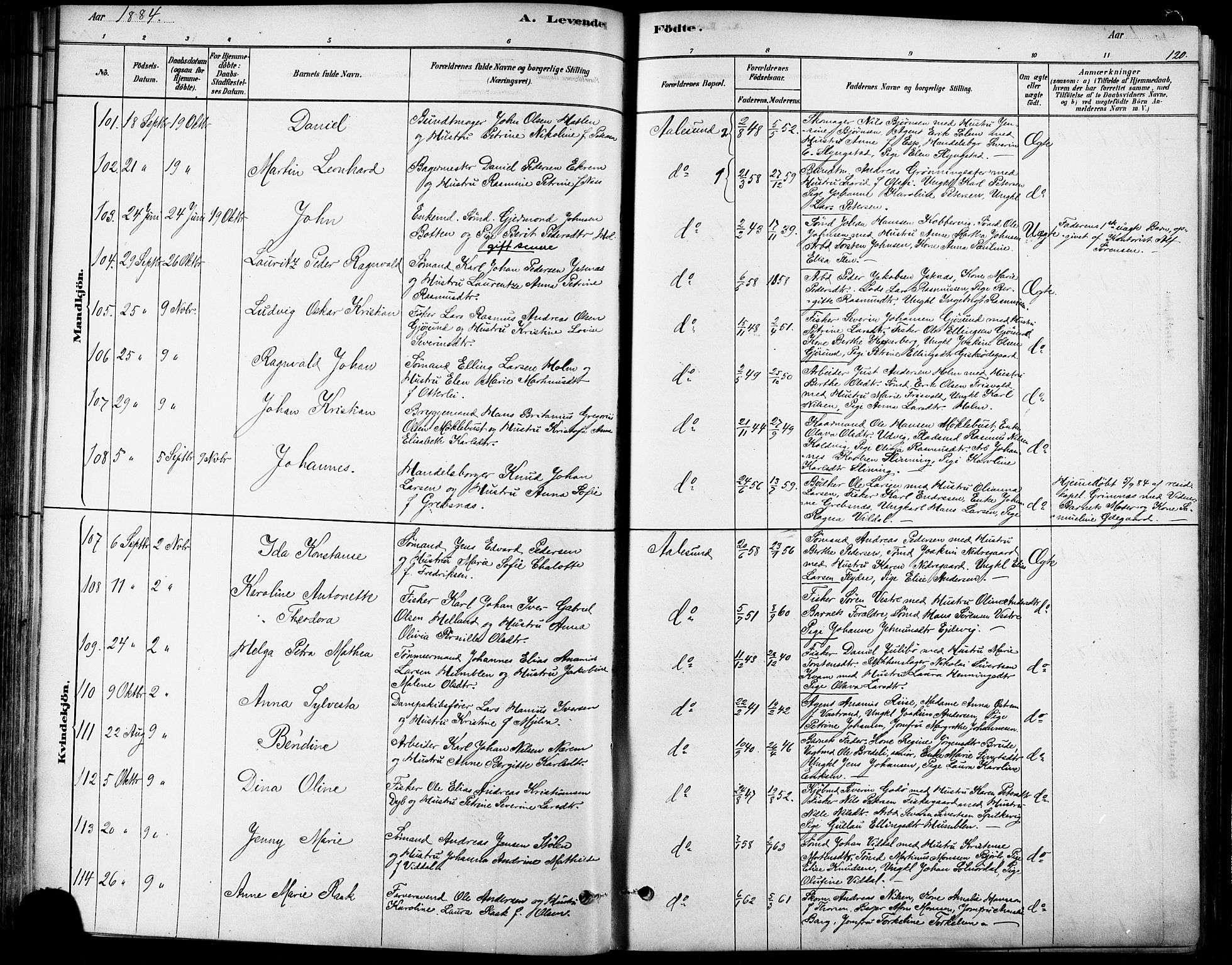 Ministerialprotokoller, klokkerbøker og fødselsregistre - Møre og Romsdal, SAT/A-1454/529/L0454: Parish register (official) no. 529A04, 1878-1885, p. 120