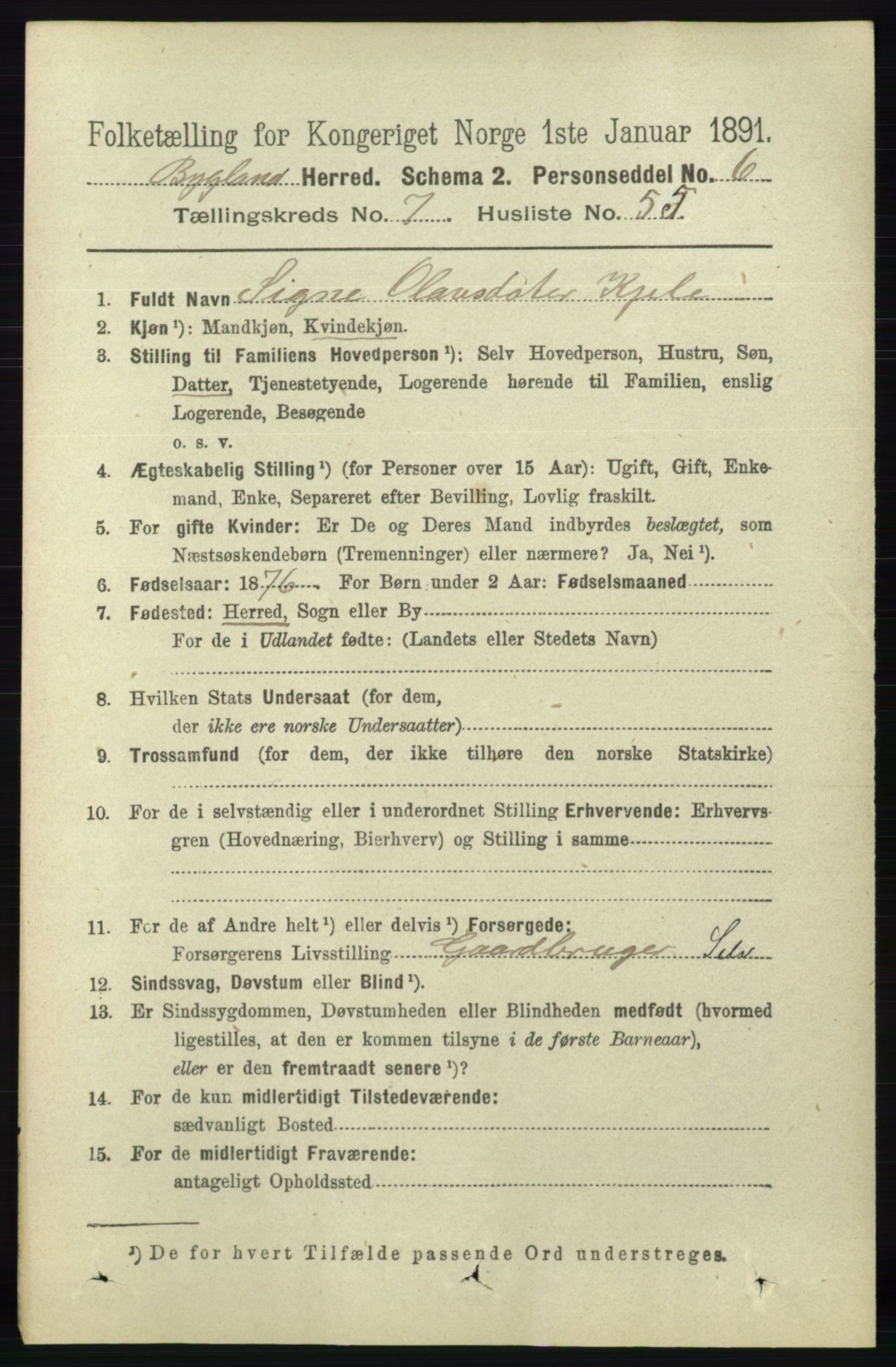 RA, 1891 census for 0938 Bygland, 1891, p. 1862