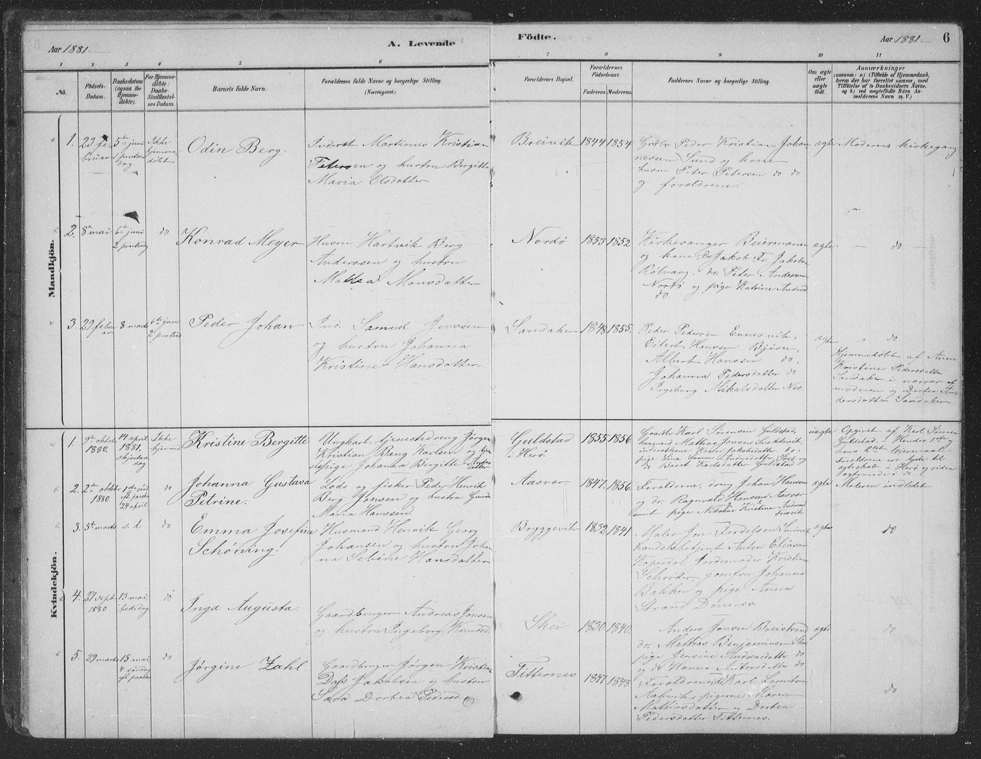 Ministerialprotokoller, klokkerbøker og fødselsregistre - Nordland, AV/SAT-A-1459/835/L0532: Parish register (copy) no. 835C04, 1880-1905, p. 6