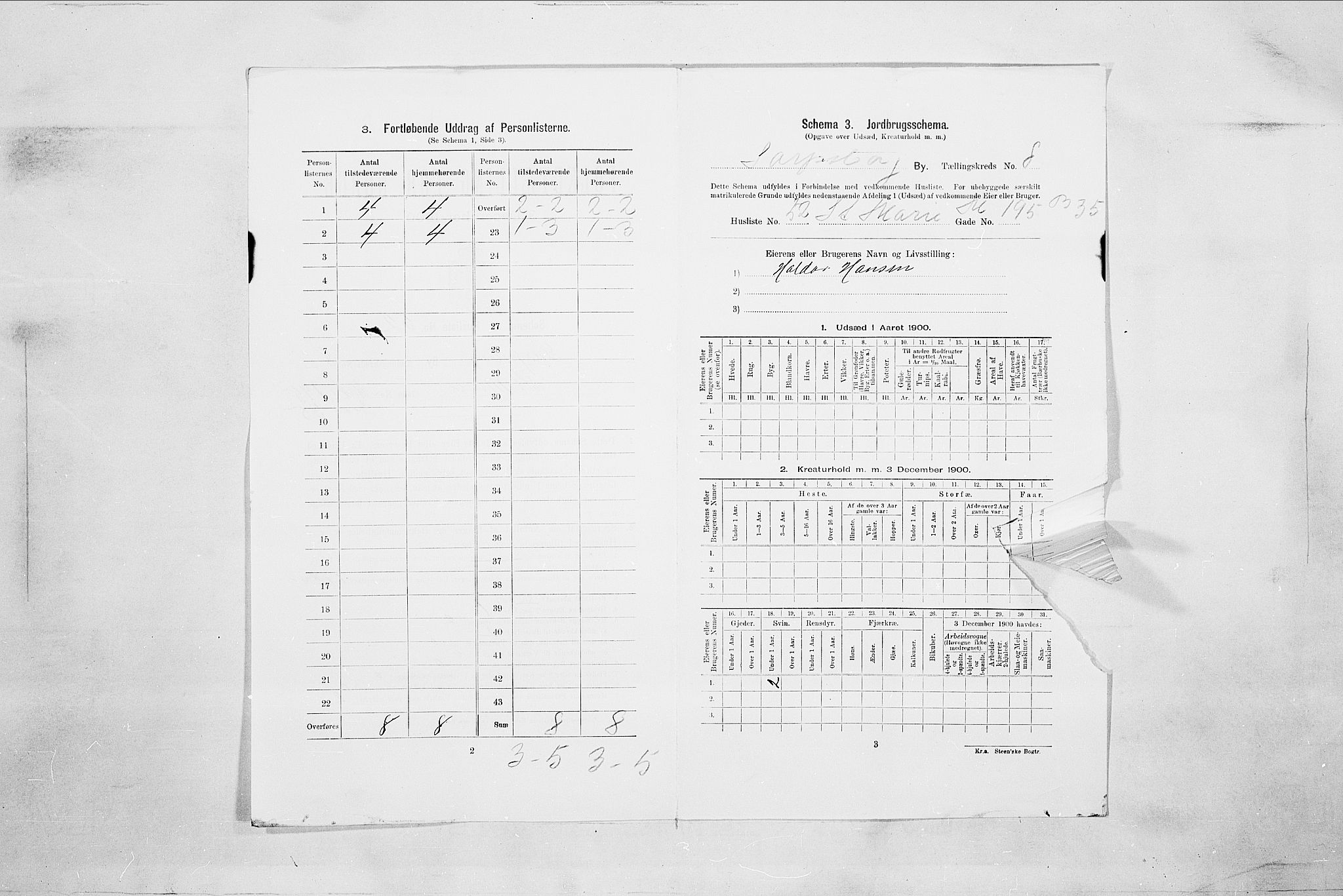 SAO, 1900 census for Sarpsborg, 1900