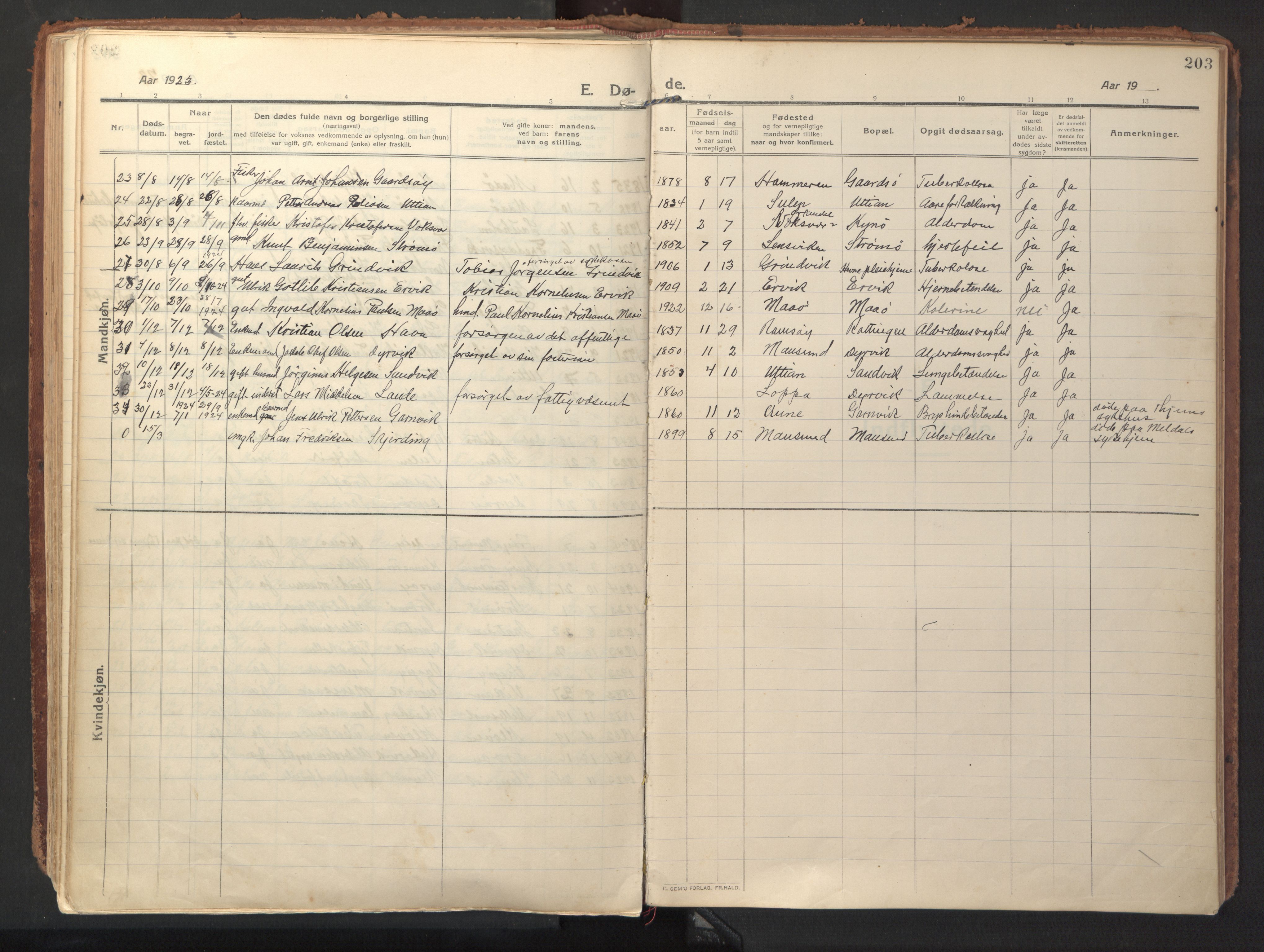 Ministerialprotokoller, klokkerbøker og fødselsregistre - Sør-Trøndelag, AV/SAT-A-1456/640/L0581: Parish register (official) no. 640A06, 1910-1924, p. 203