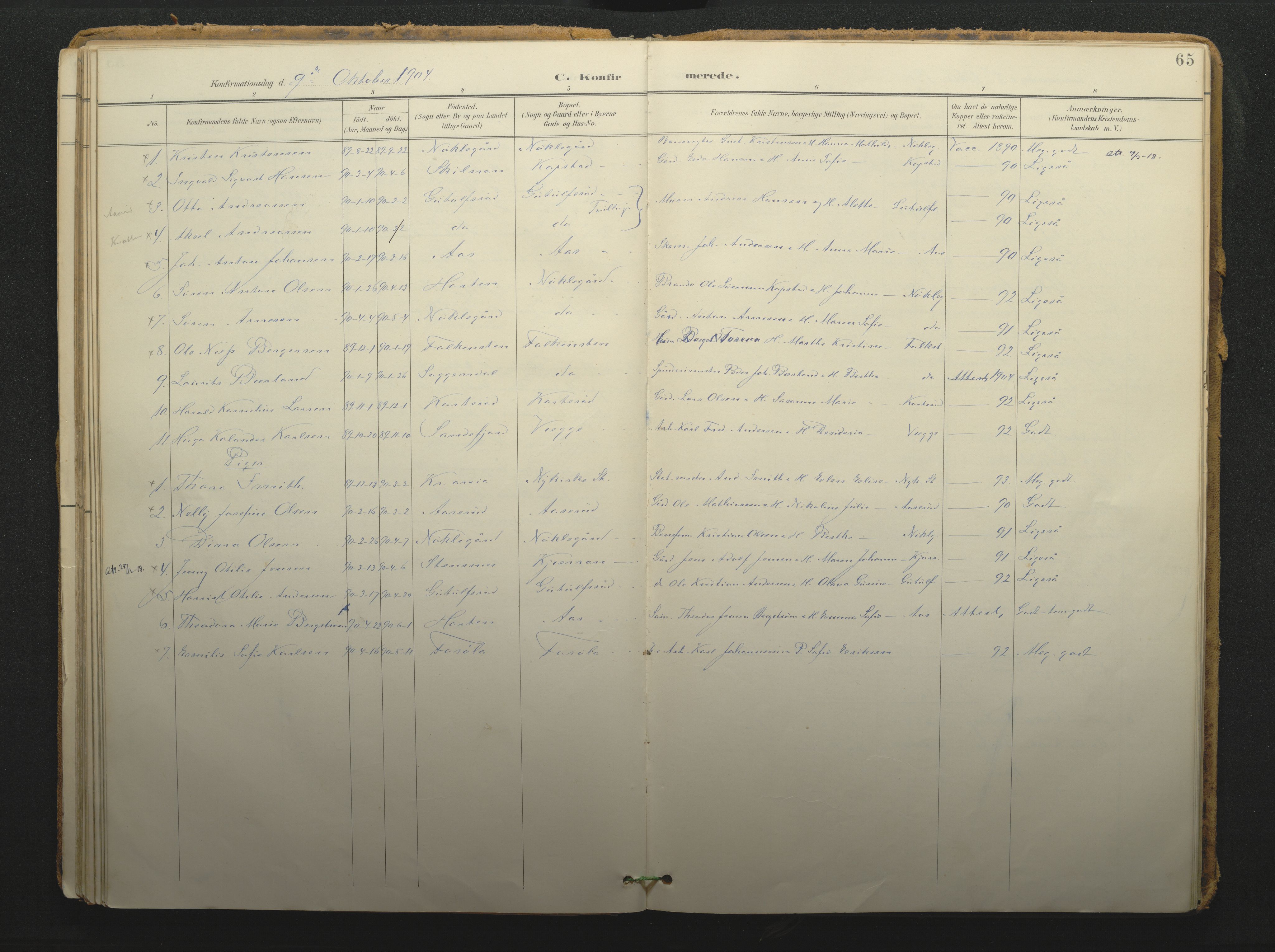 Borre kirkebøker, AV/SAKO-A-338/F/Fc/L0003: Parish register (official) no. III 3, 1896-1919, p. 65